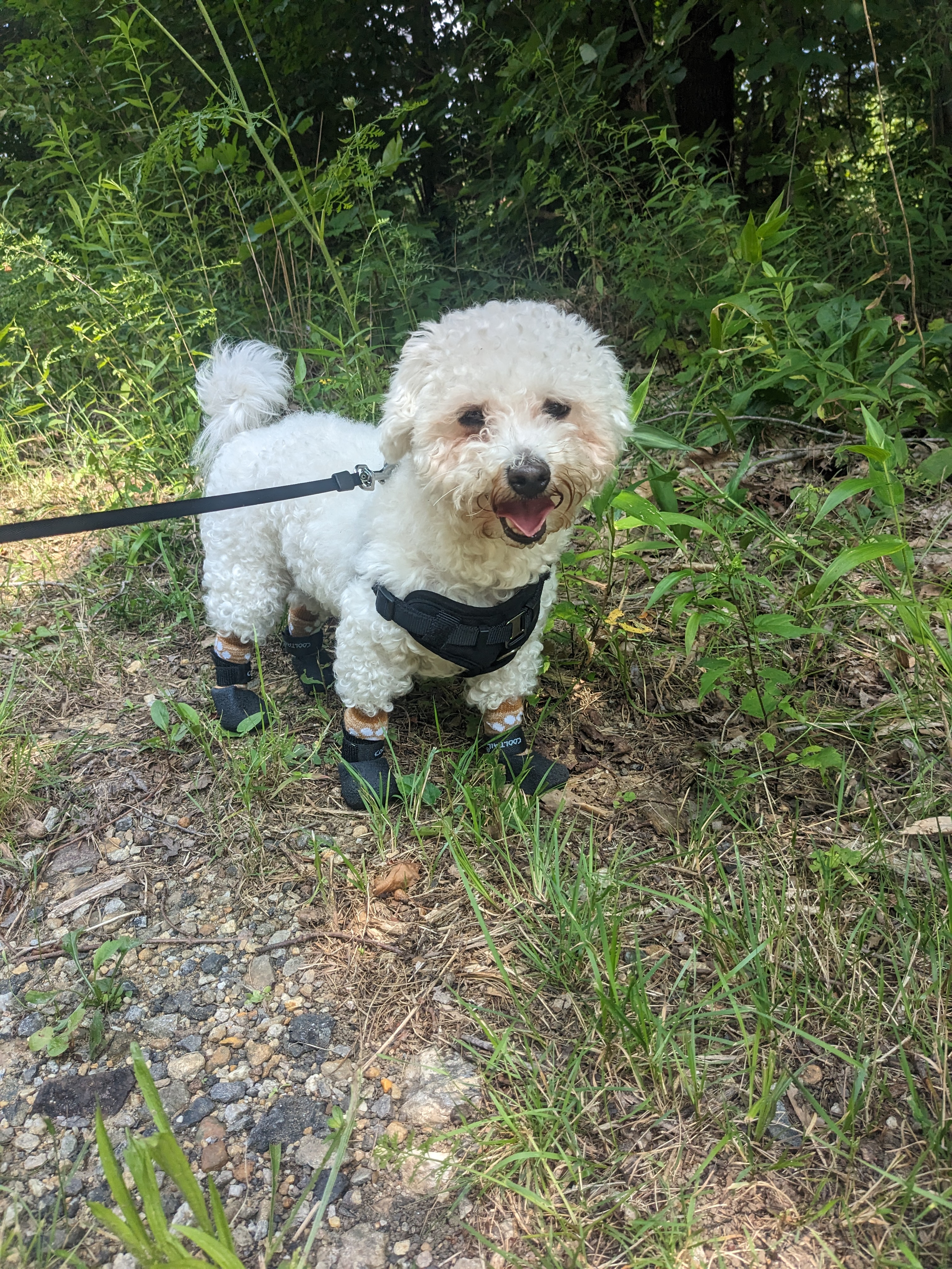Mylo’s happy feet!🐾🐾