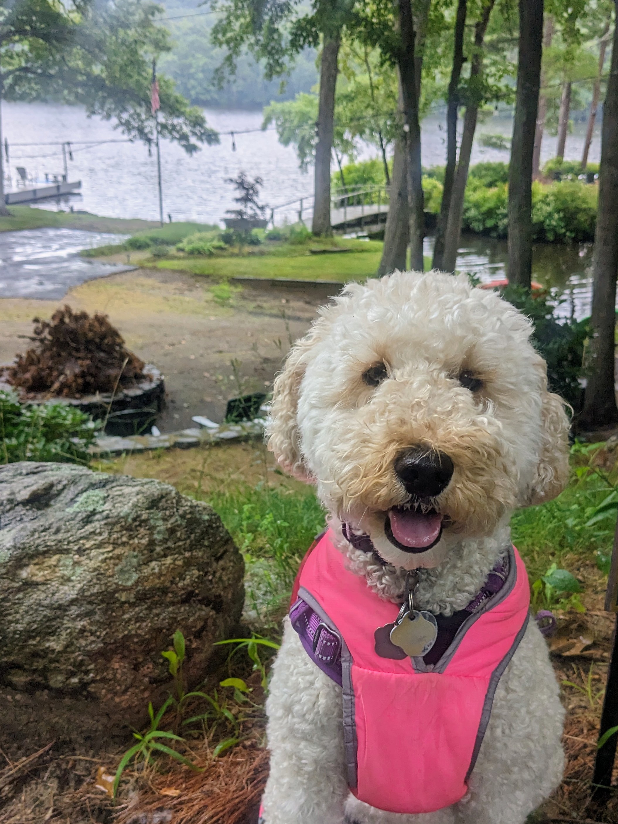 Rainy day walk