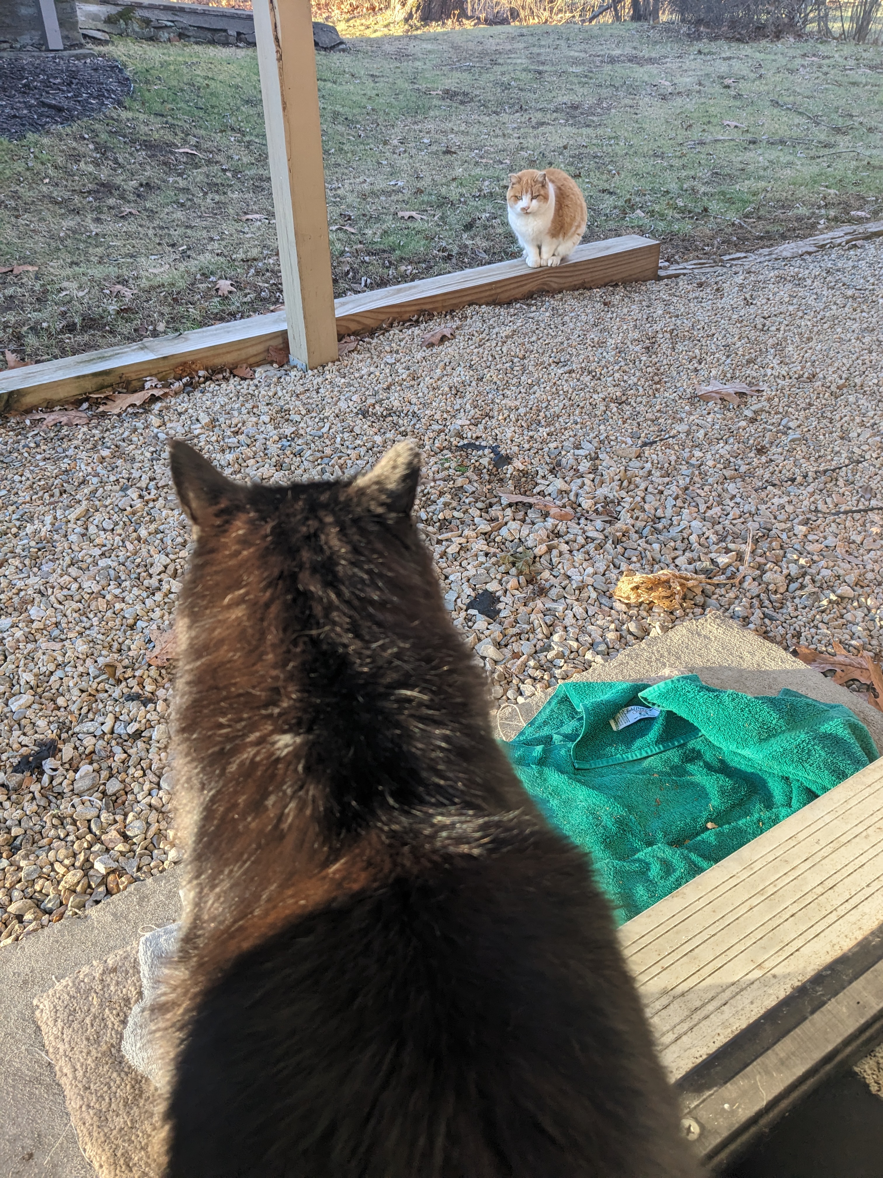 Fuzz & Crush give me the warm fuzzies!