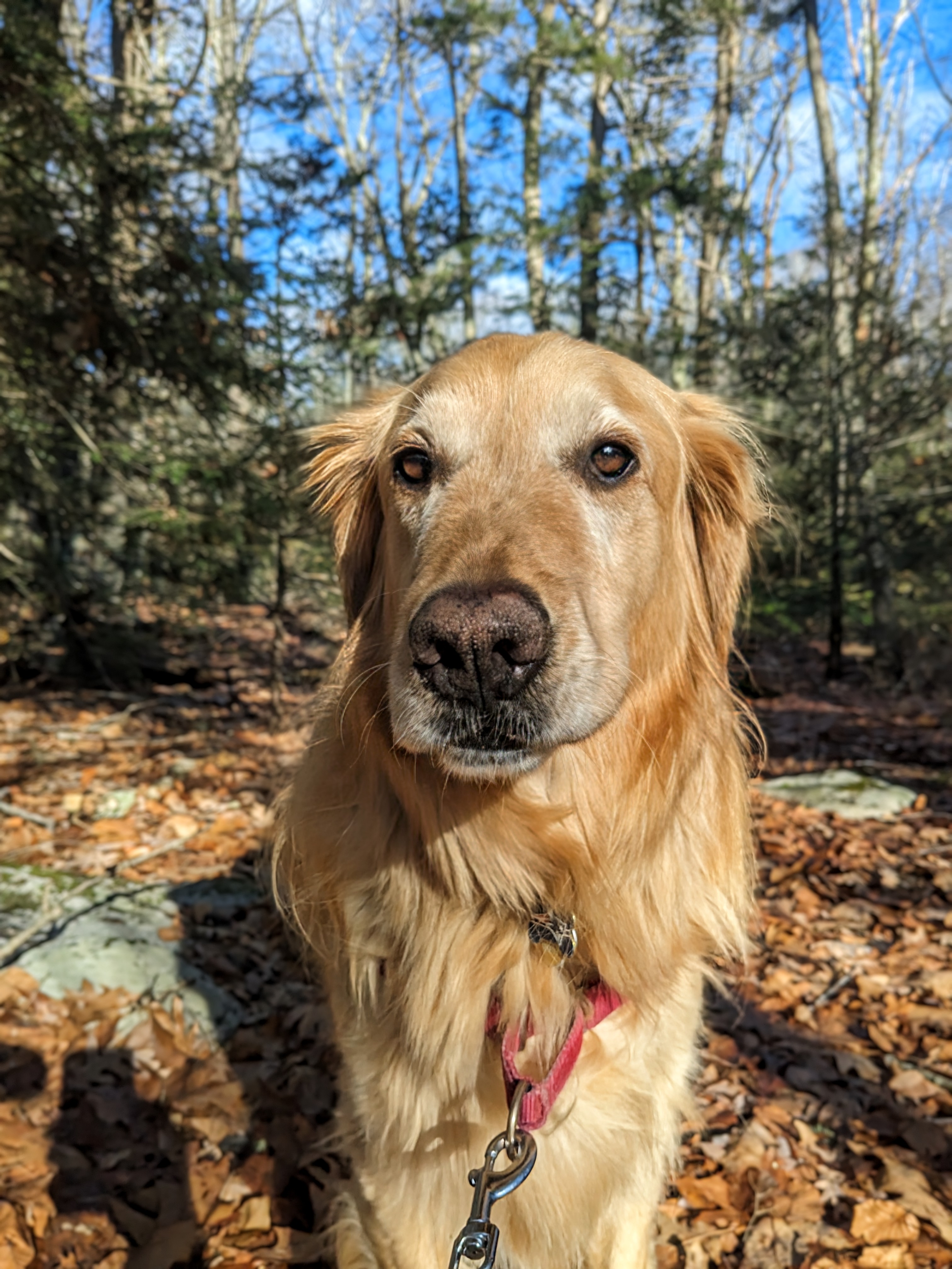 Trails and Treasures