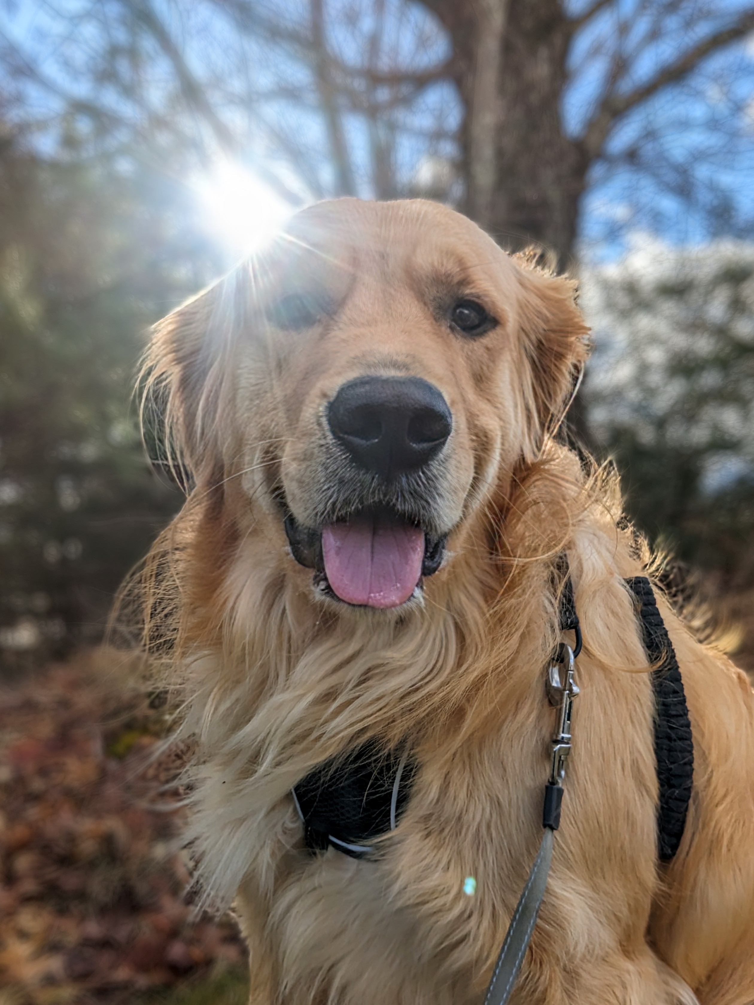 Tantasqua vacation means more fun for Beau