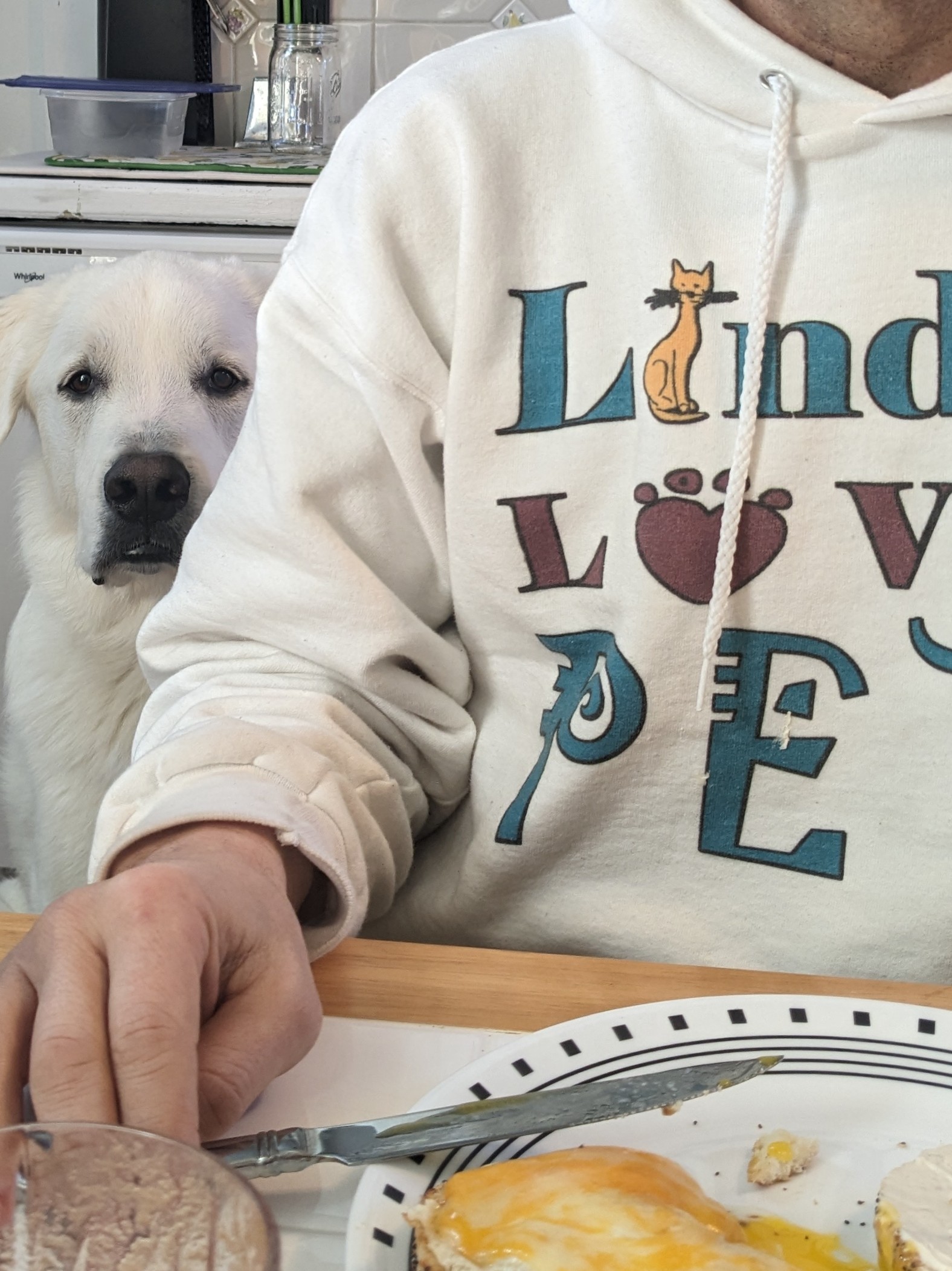 “I am not begging!” “I am invisible!”