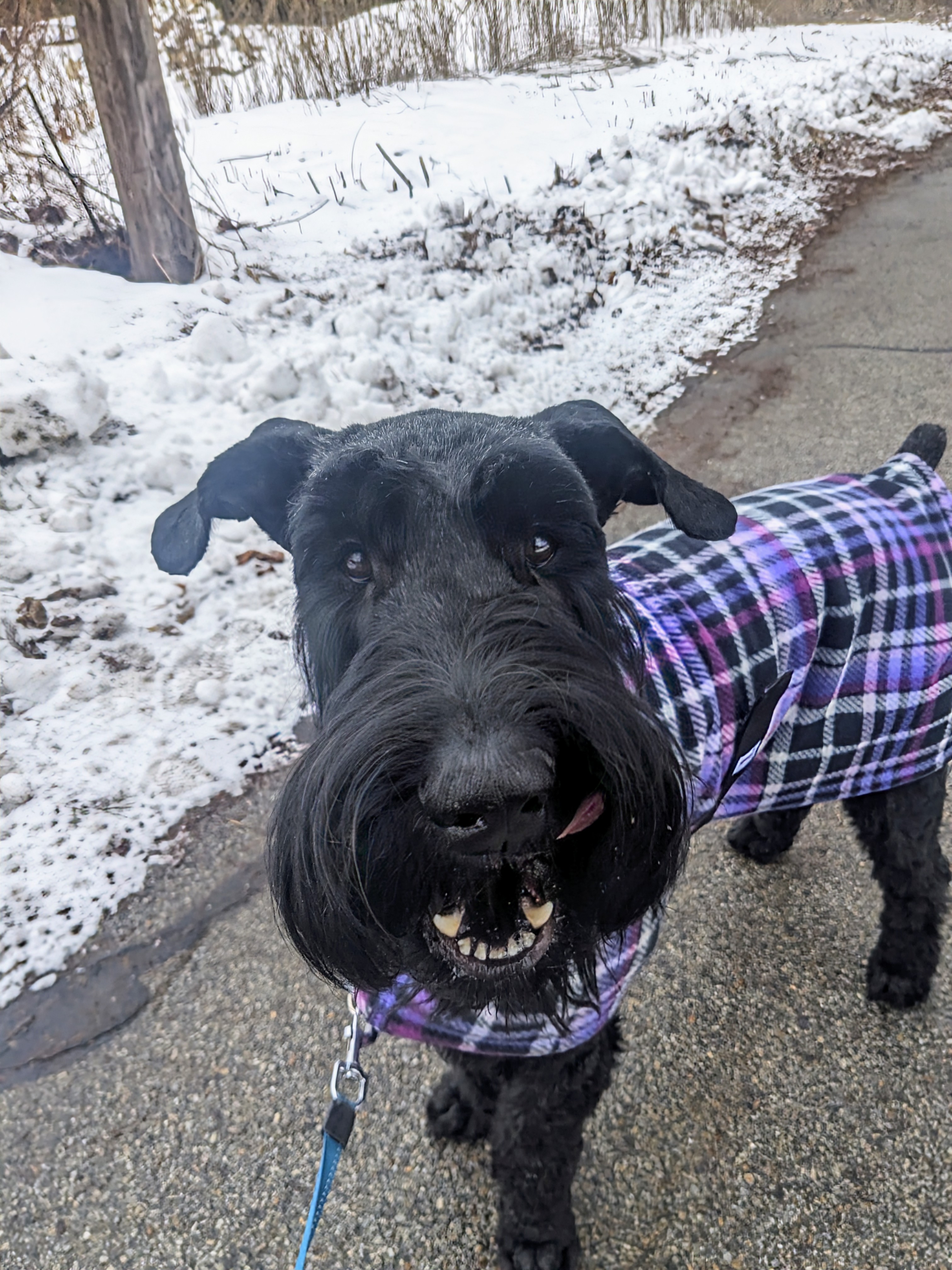 Jameson looking so Dapper!