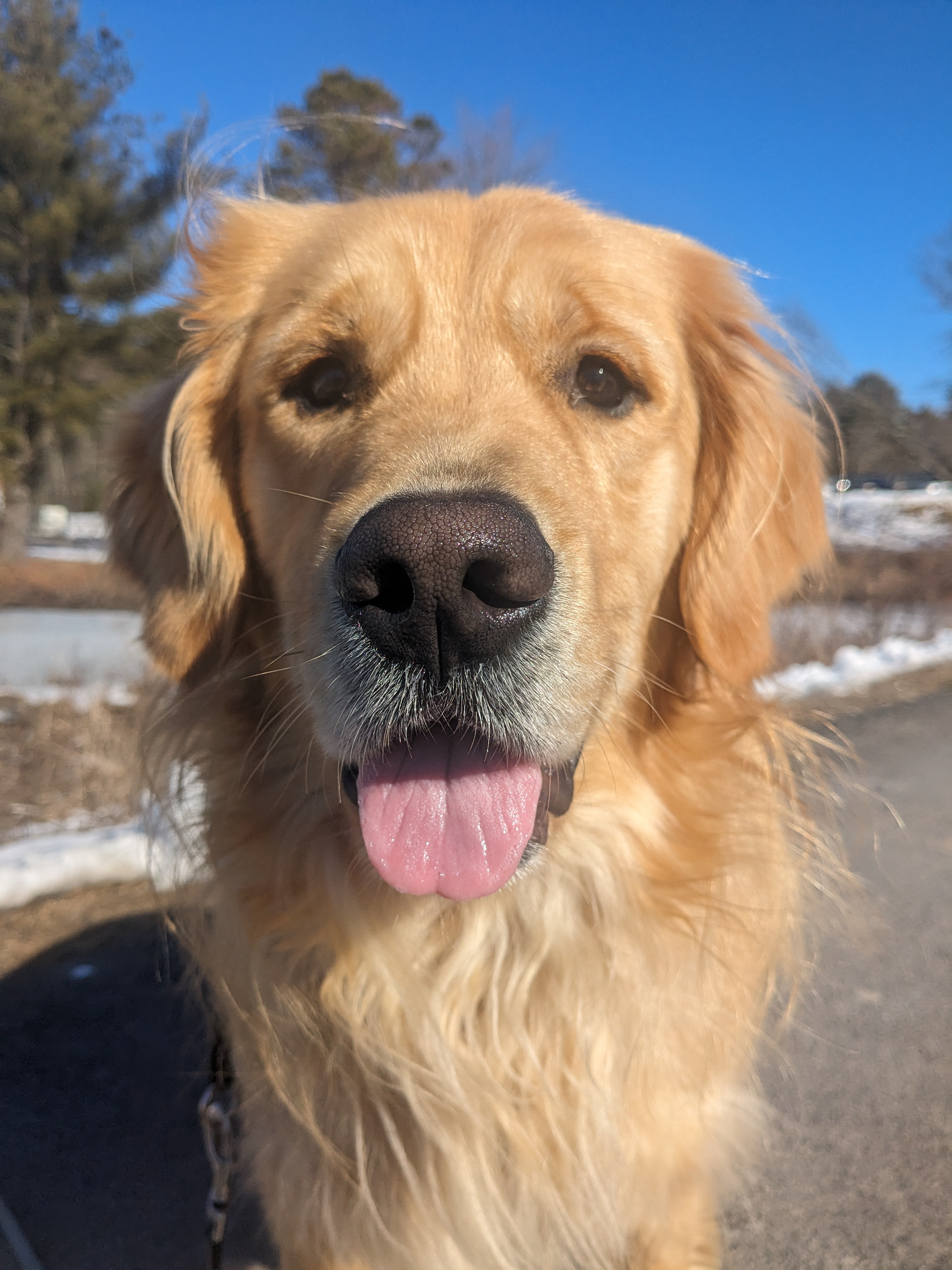 Beau knows snow