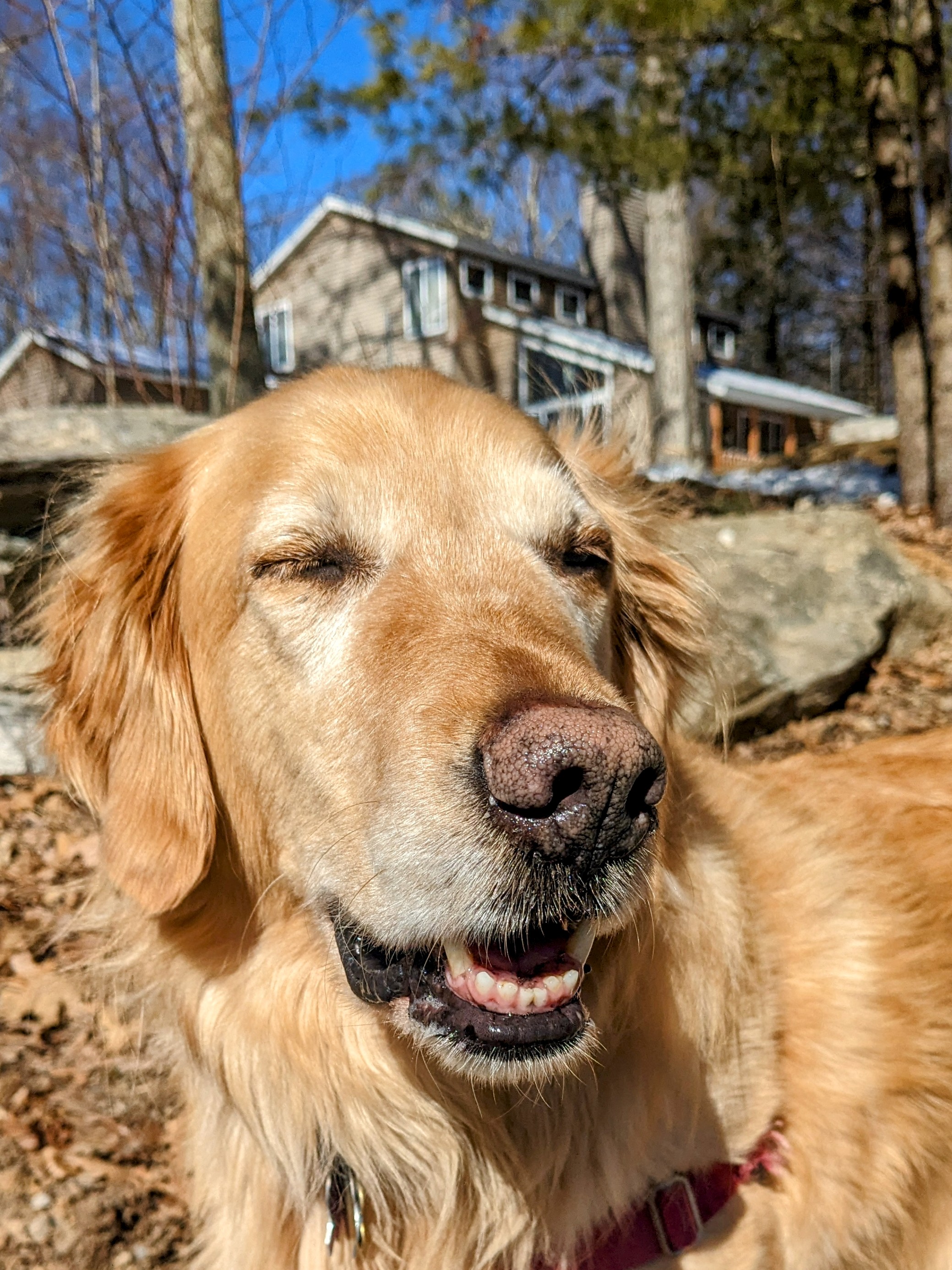Good boy Julian!