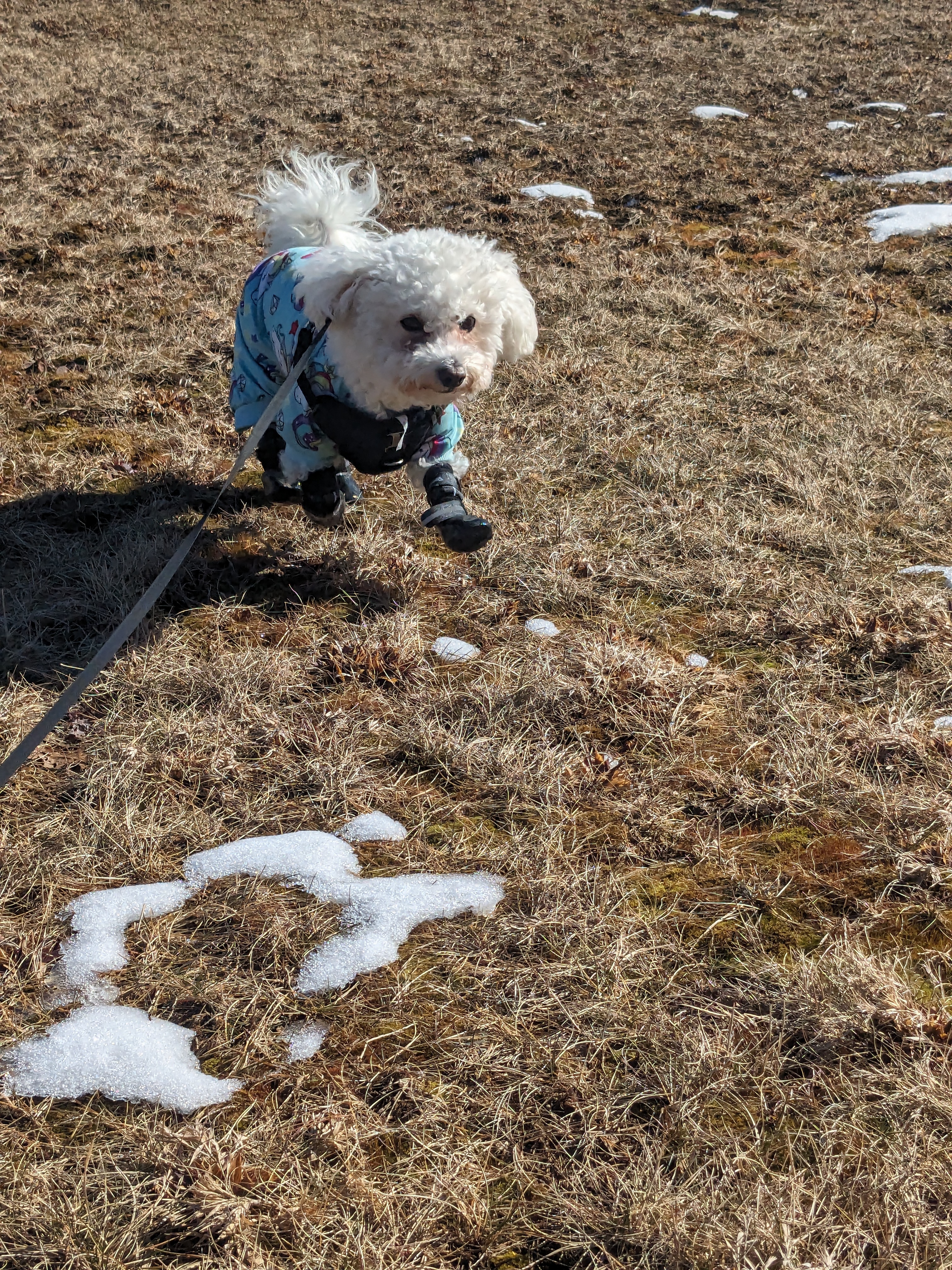 All I want to do is Zoomie Zoom zoom! 😂