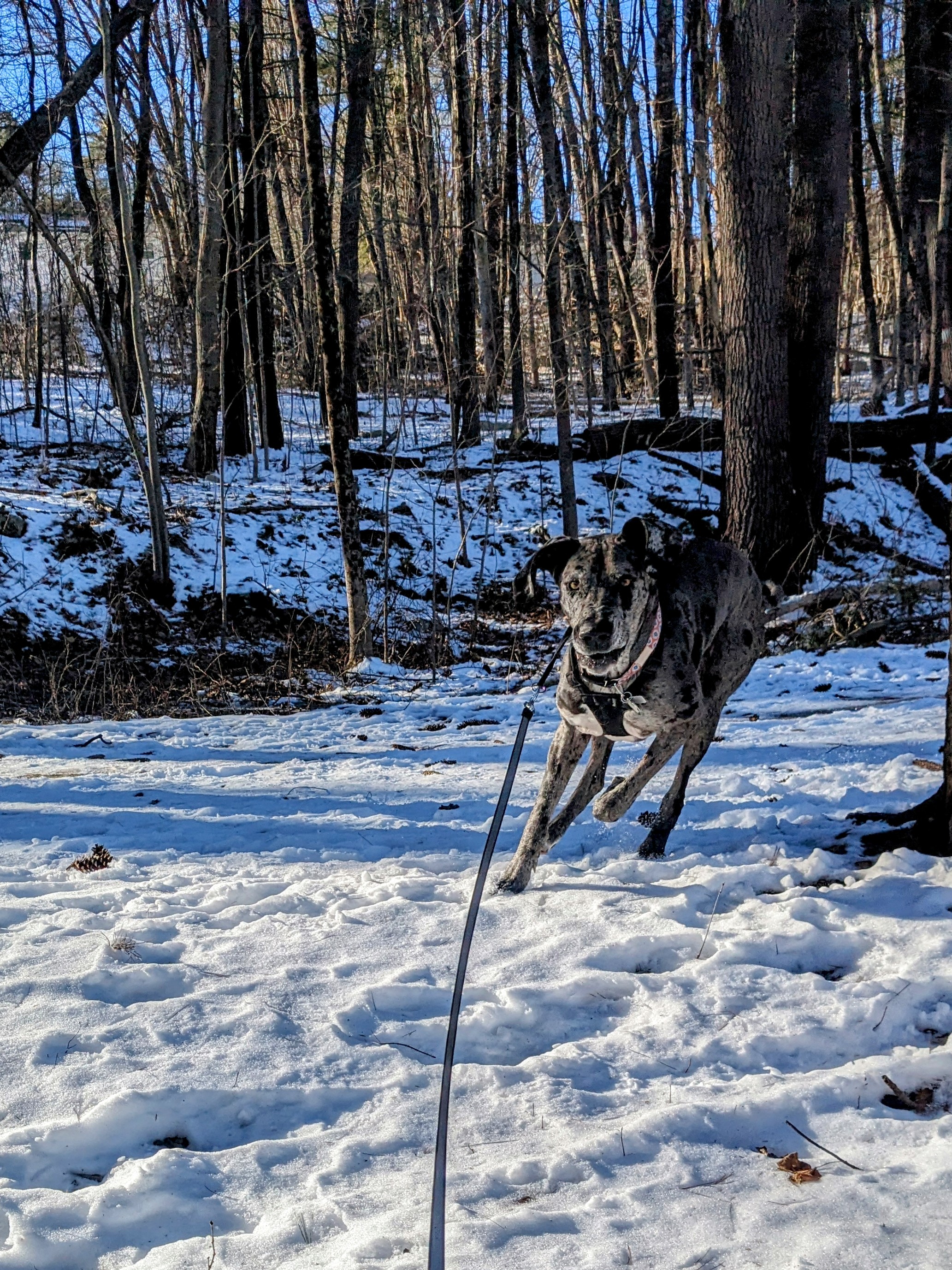 Shaving The Ice