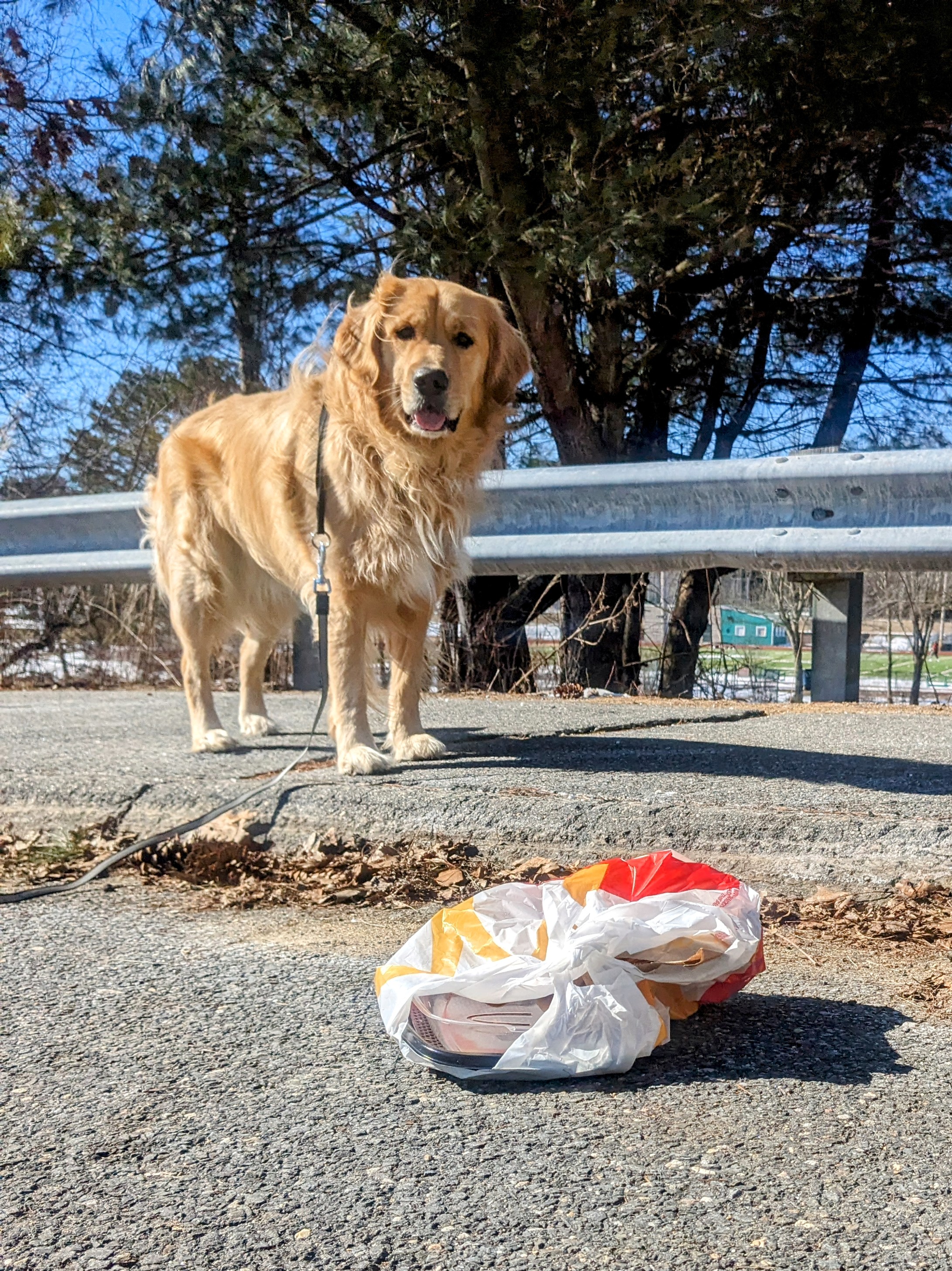 Old McDonald’s on the Ground, E – I – E – I – Beau
