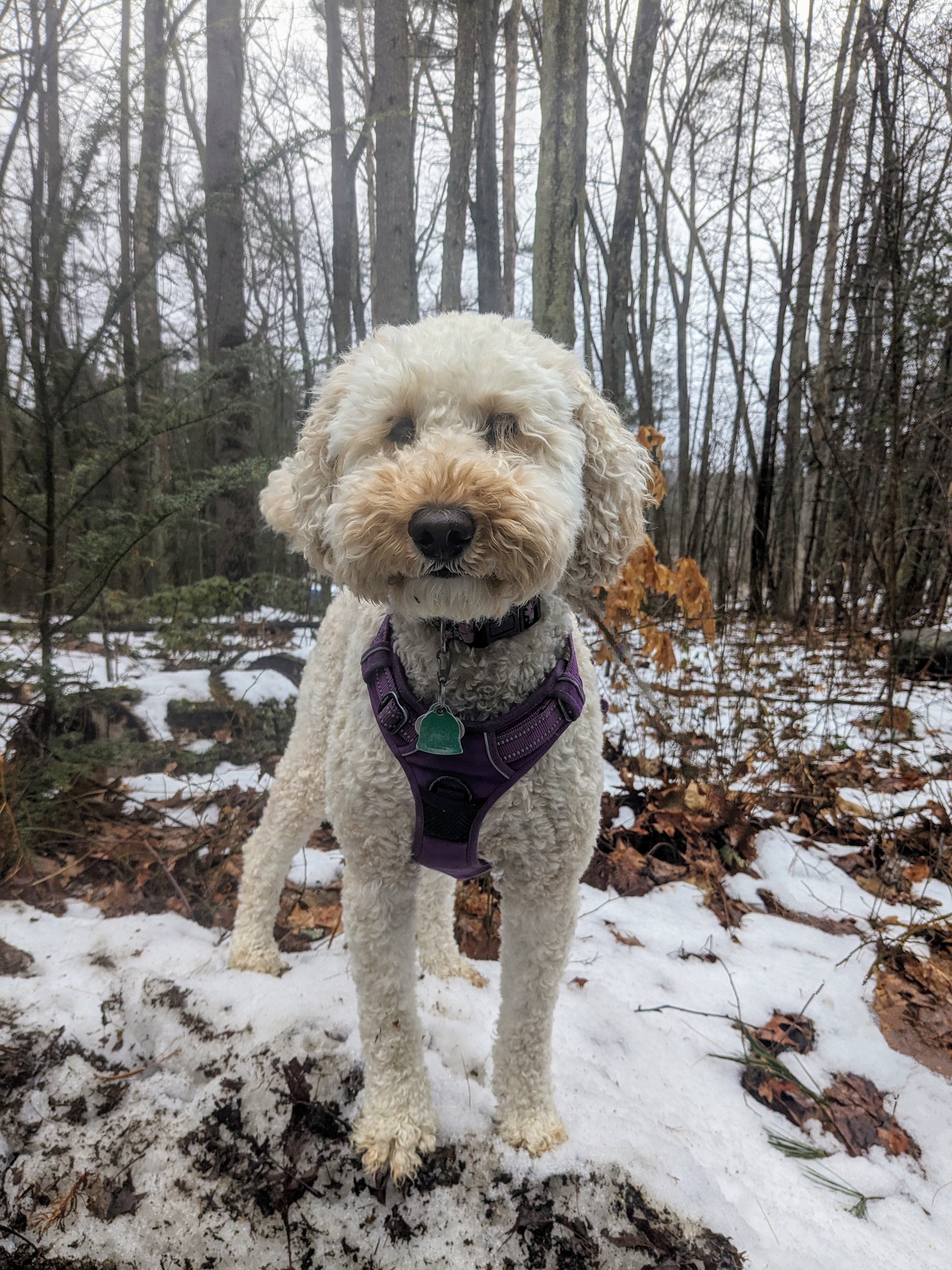 Happy Fri-yay!