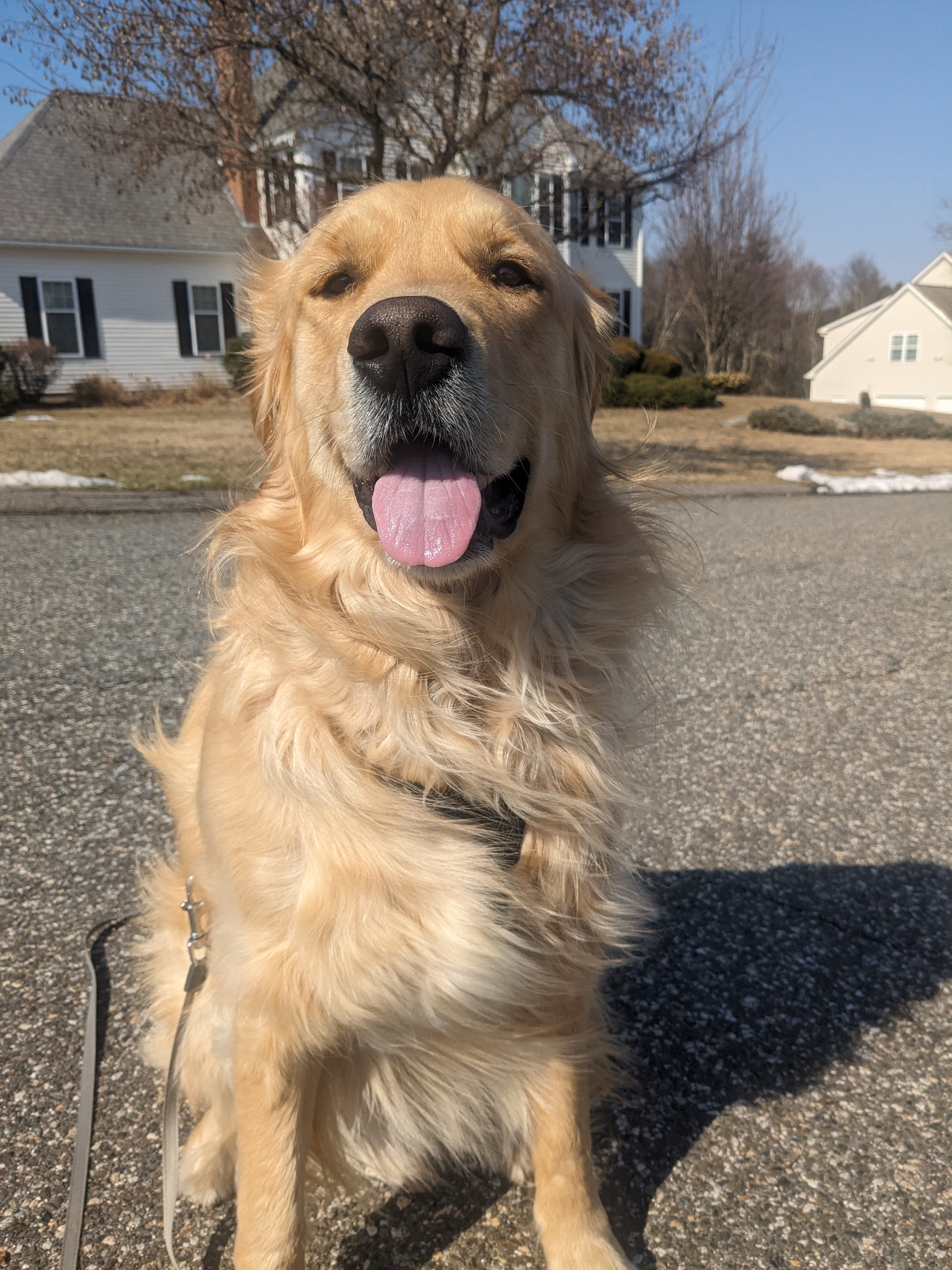 Goldens Rule: Part 2