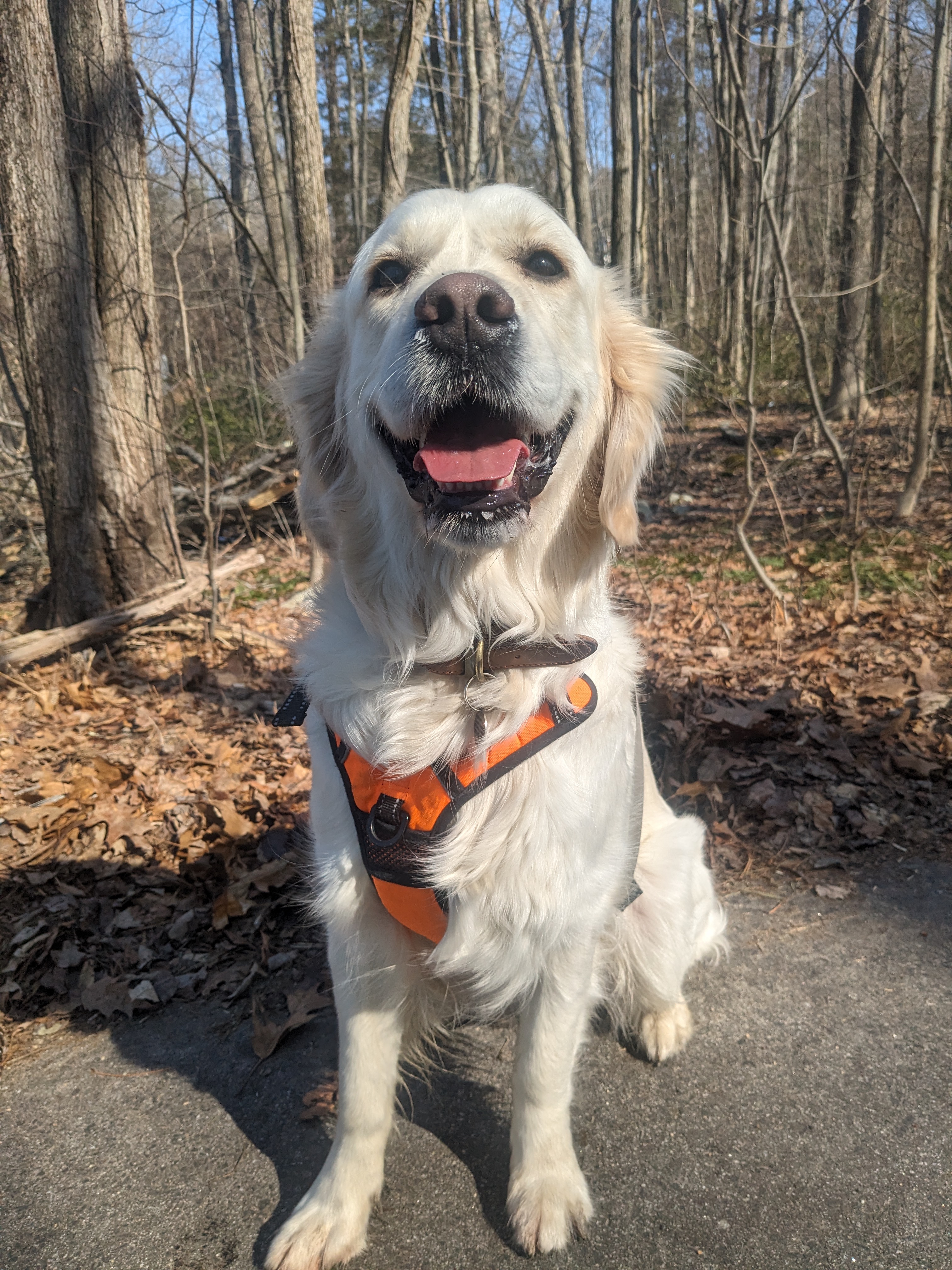 Goldens Rule: Part 3