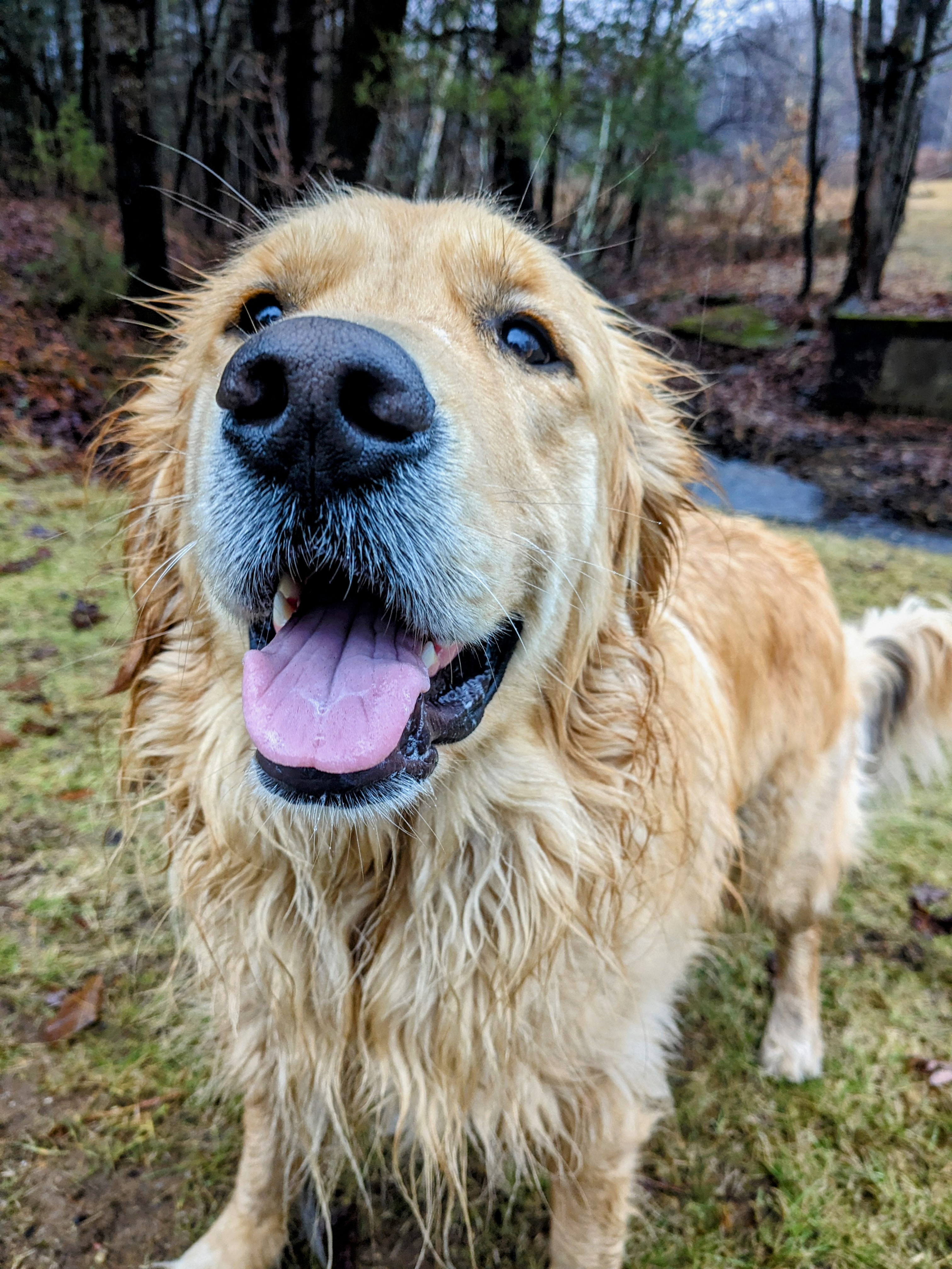 Everything’s Better When Wet