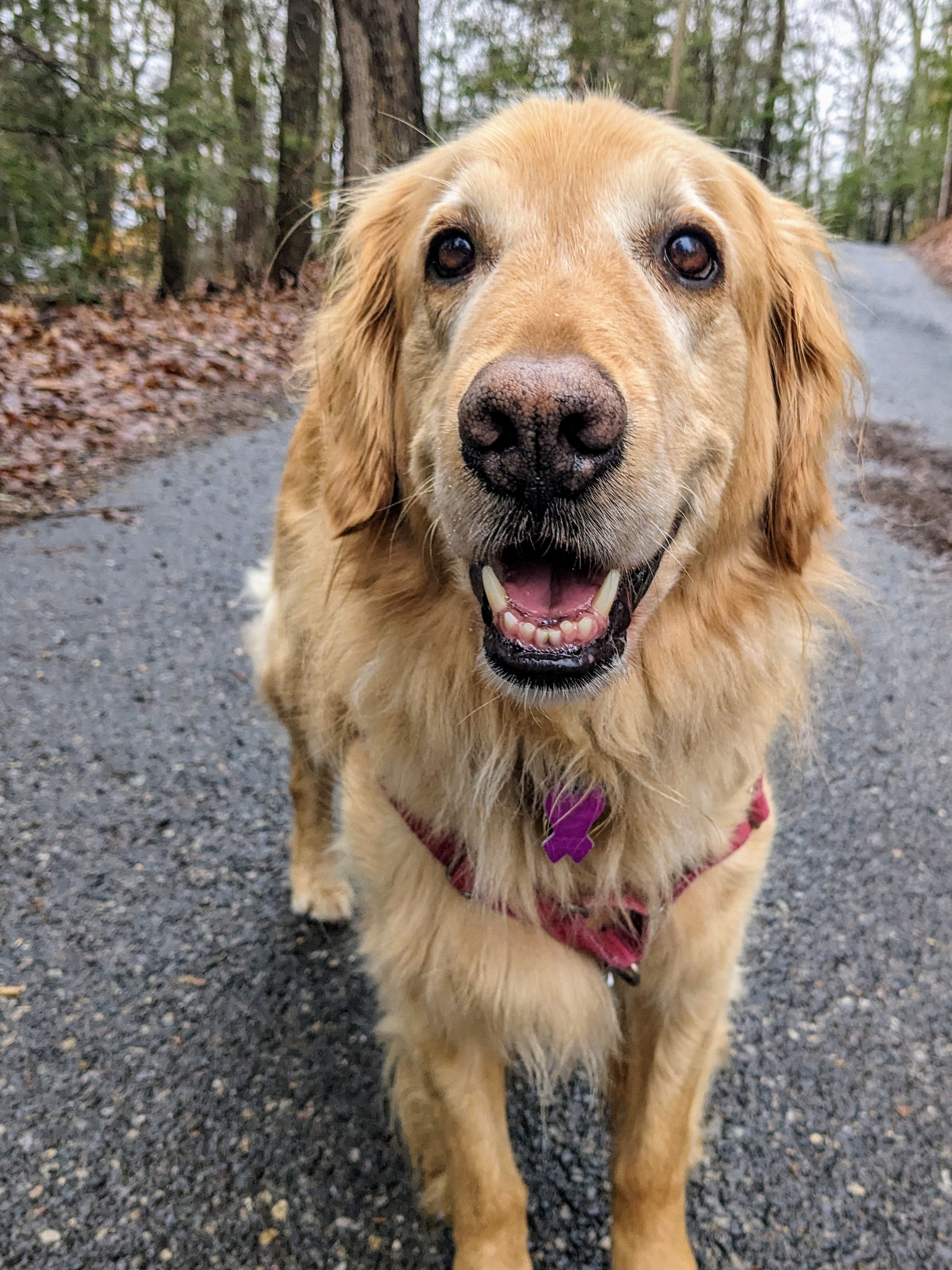 Smiling In The Rain 😁
