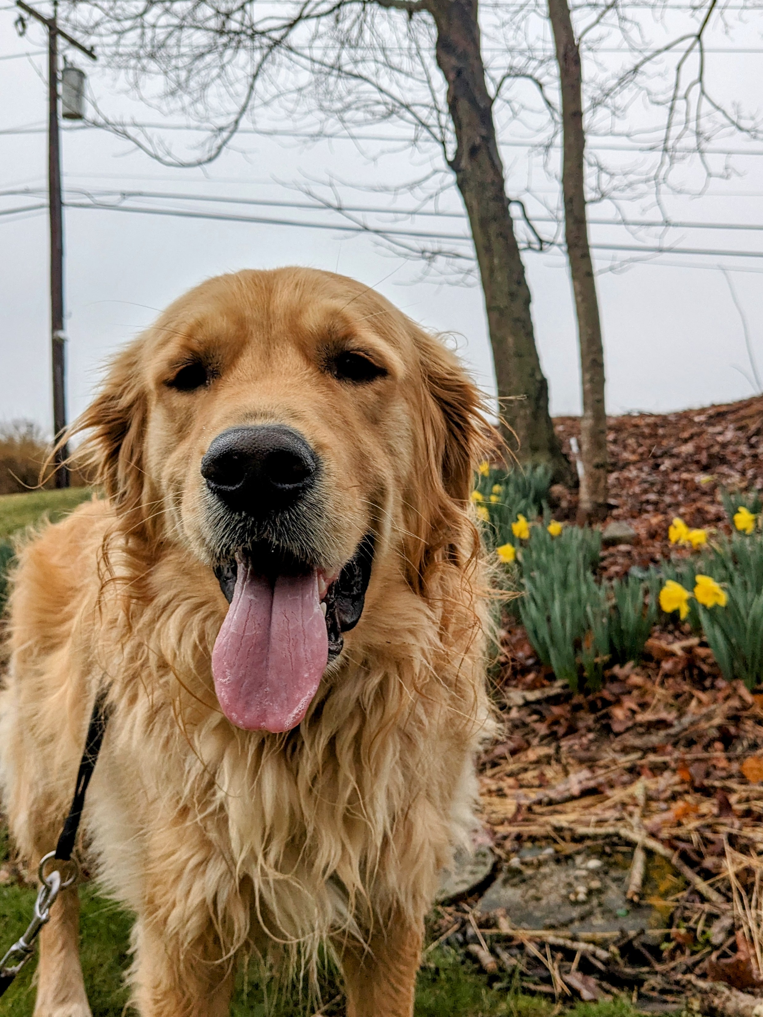 Beau Stops The Rain