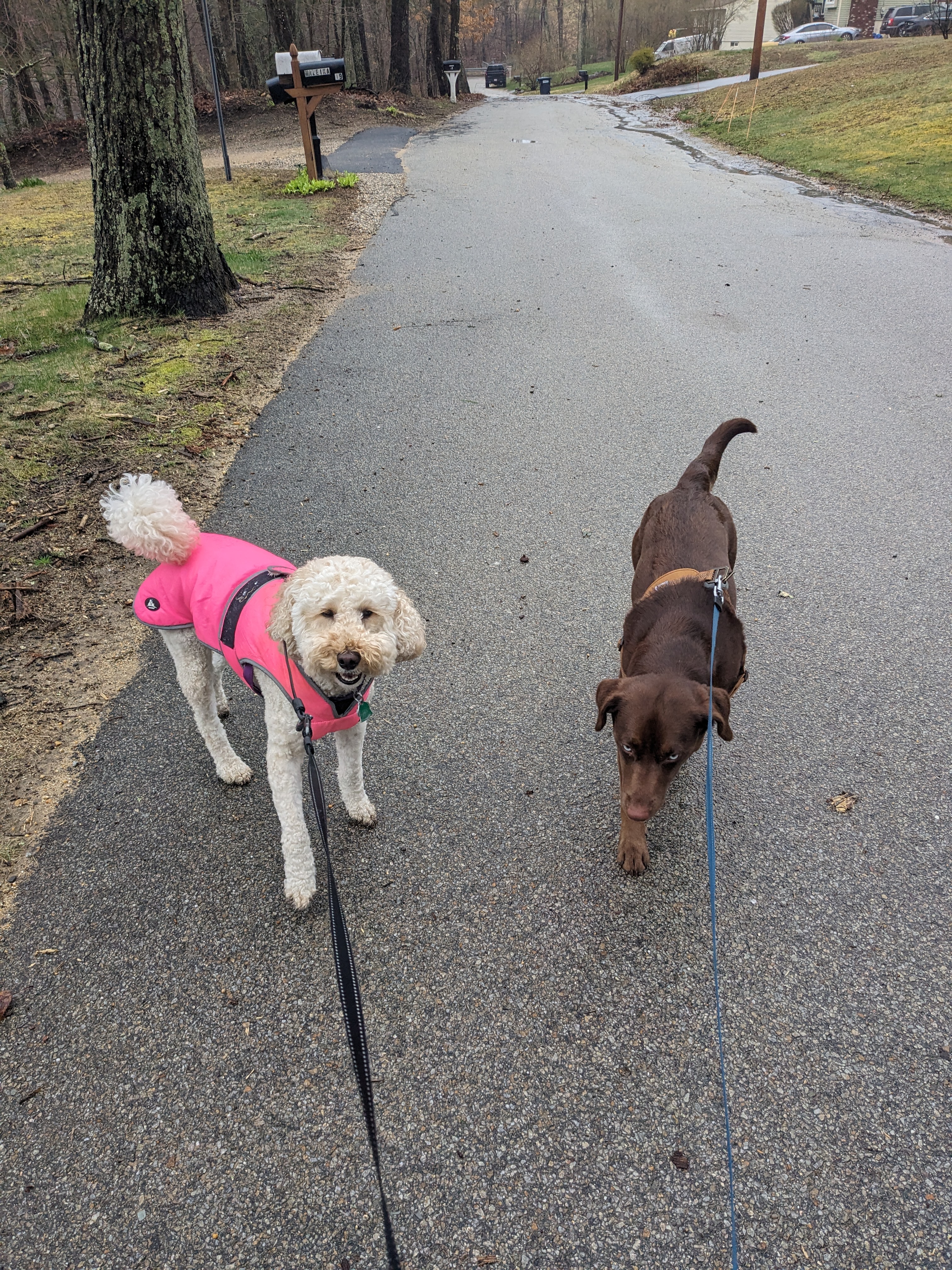 Rainy Day Walk With Friends Is The Best!