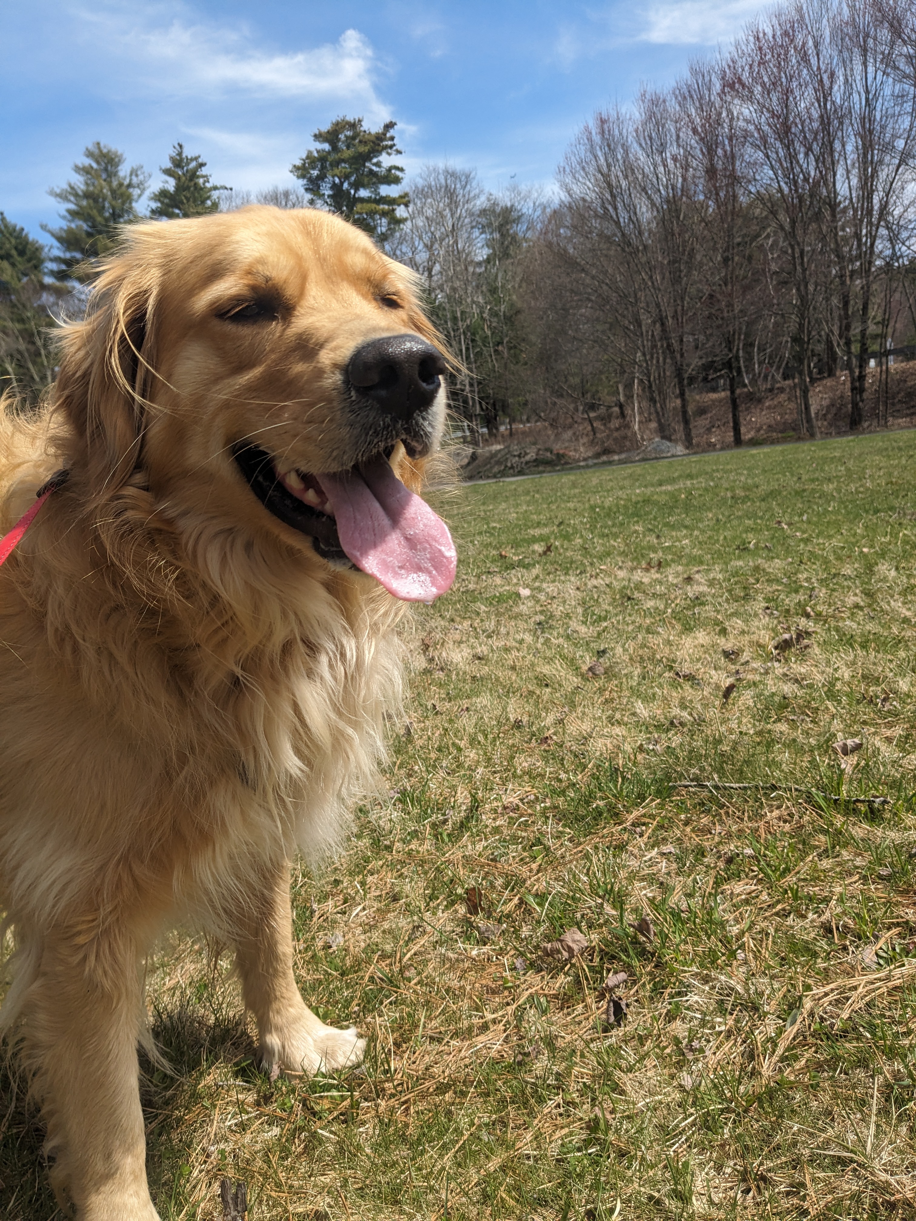 A Walk On The Wild Side!🐾❤️