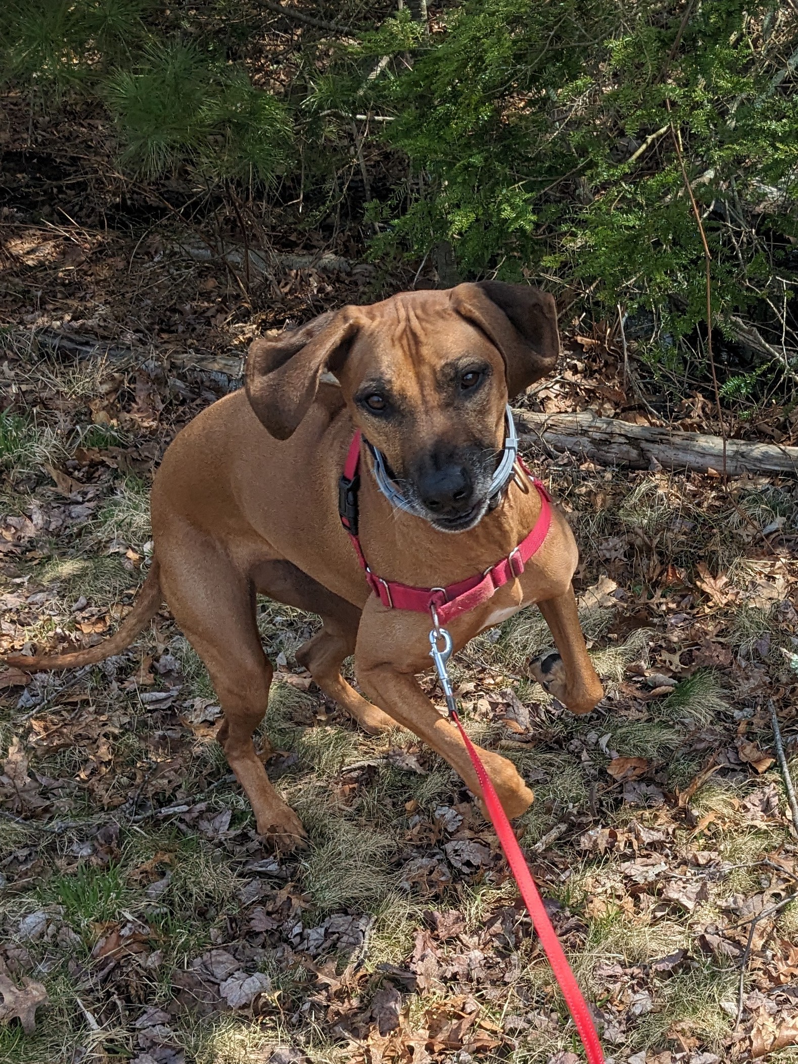 One Happy Go Lucky Girl! ❤️🐾