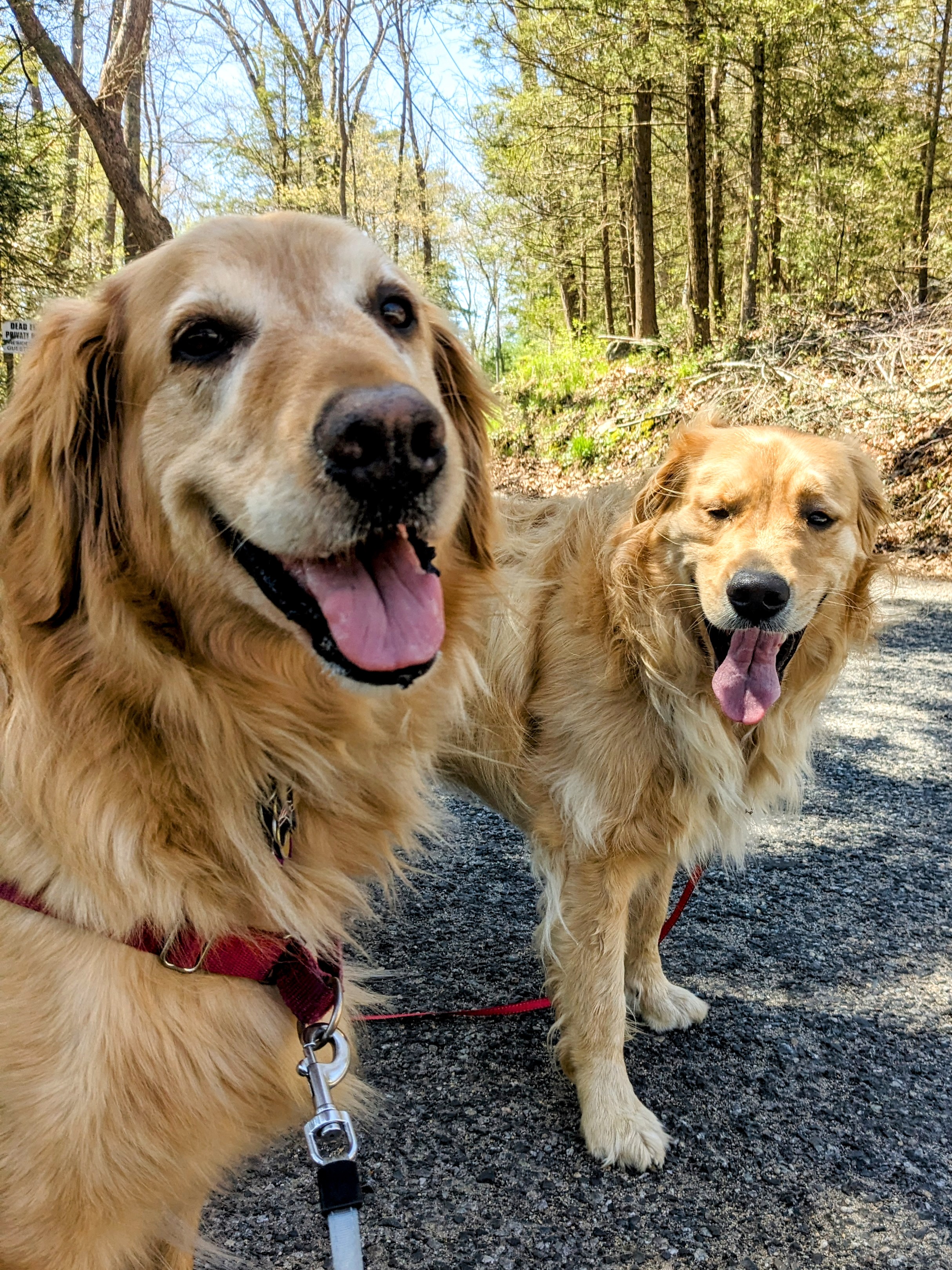 Double Trouble