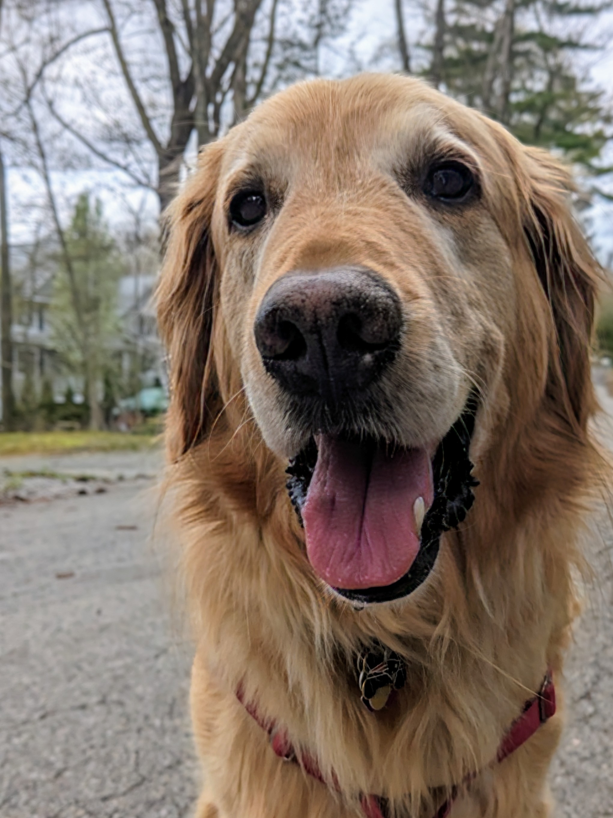 FOMO