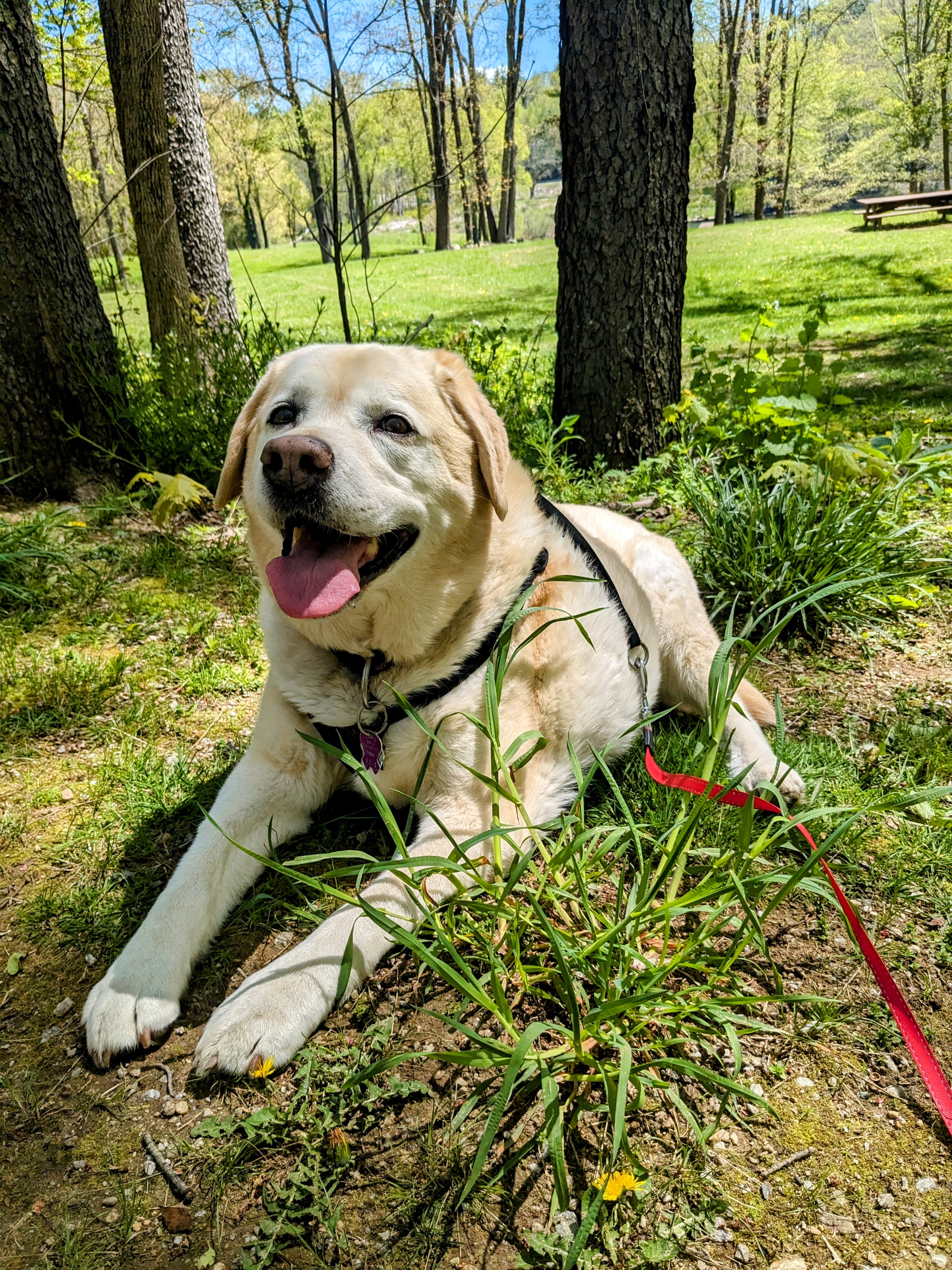 Sunshiny Day With Nahla!
