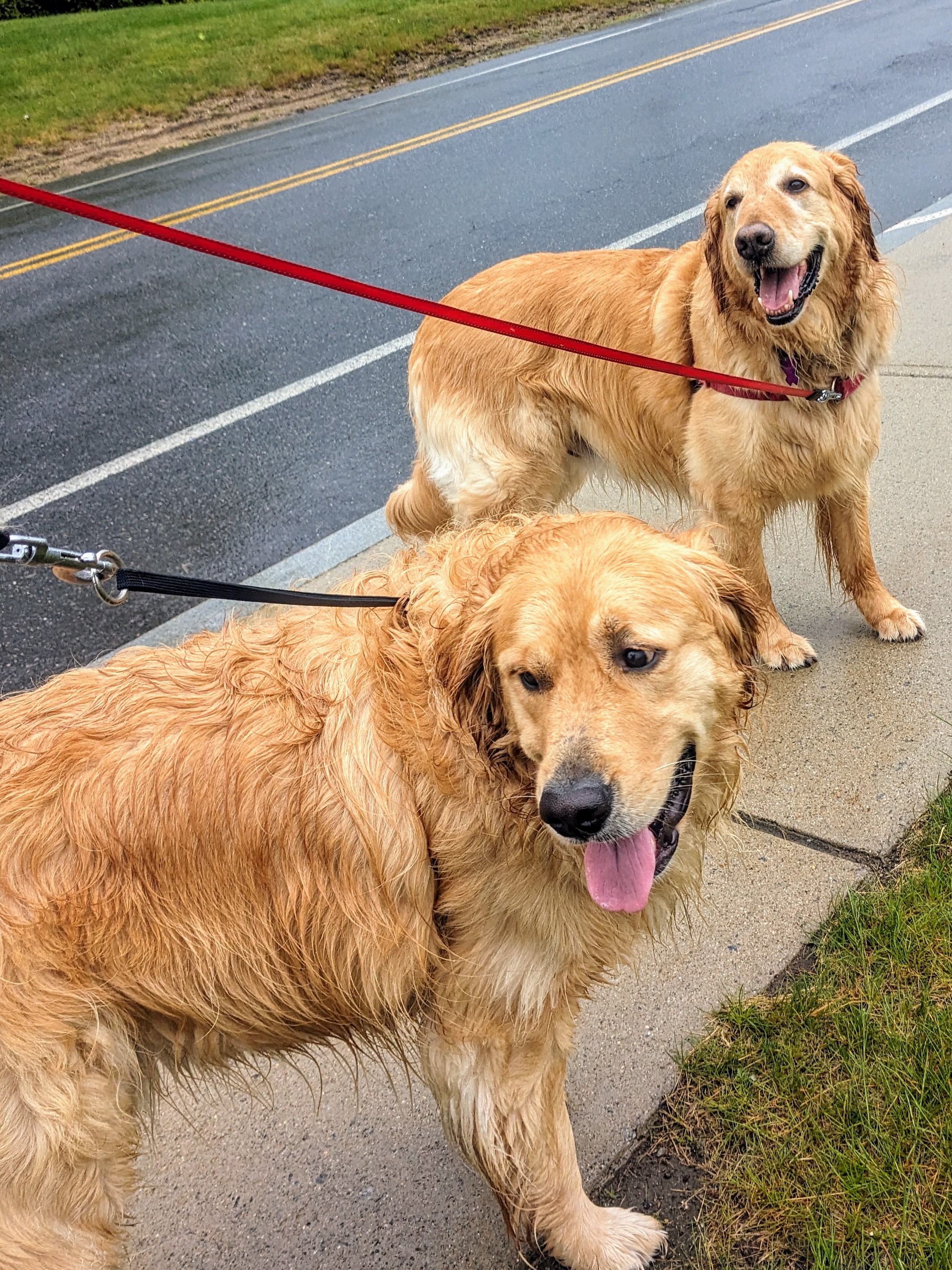 Licking In The Rain