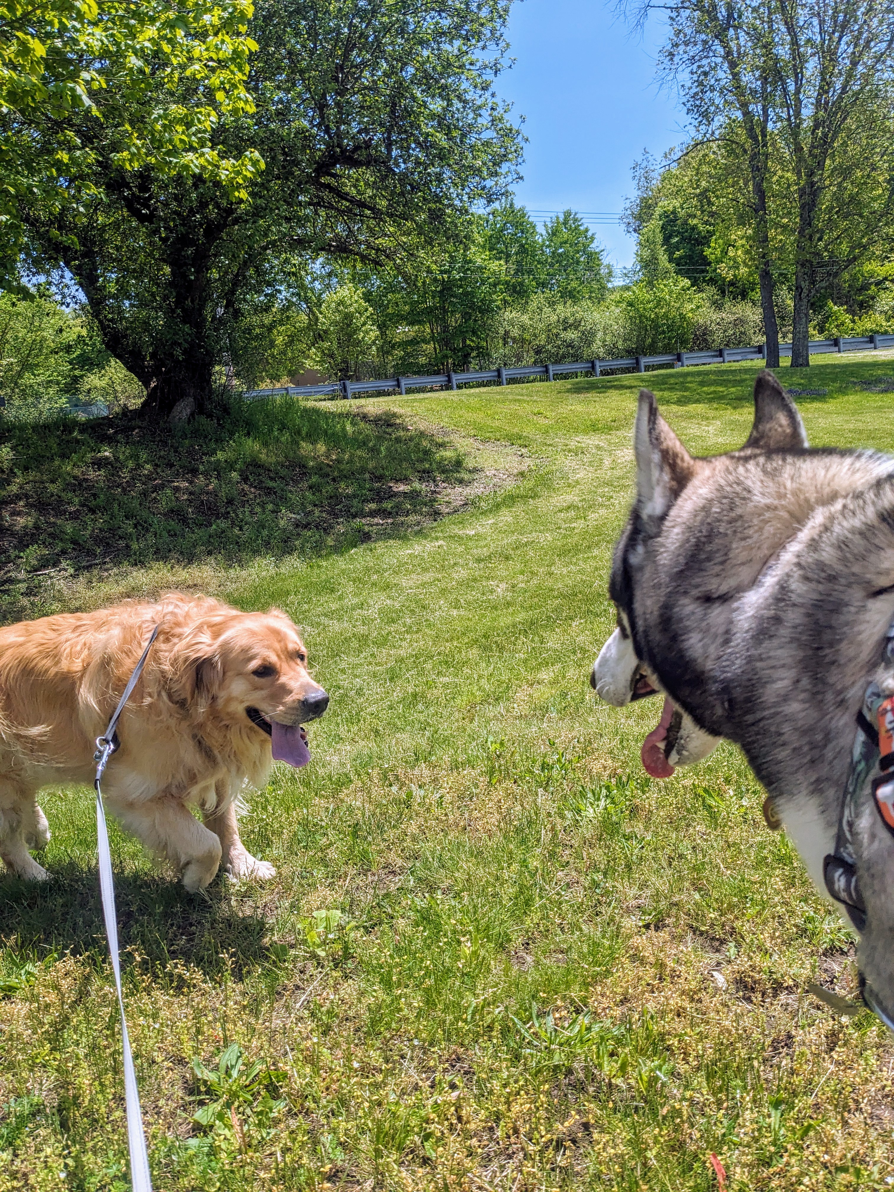 Beau And Packer Get Some Face Time