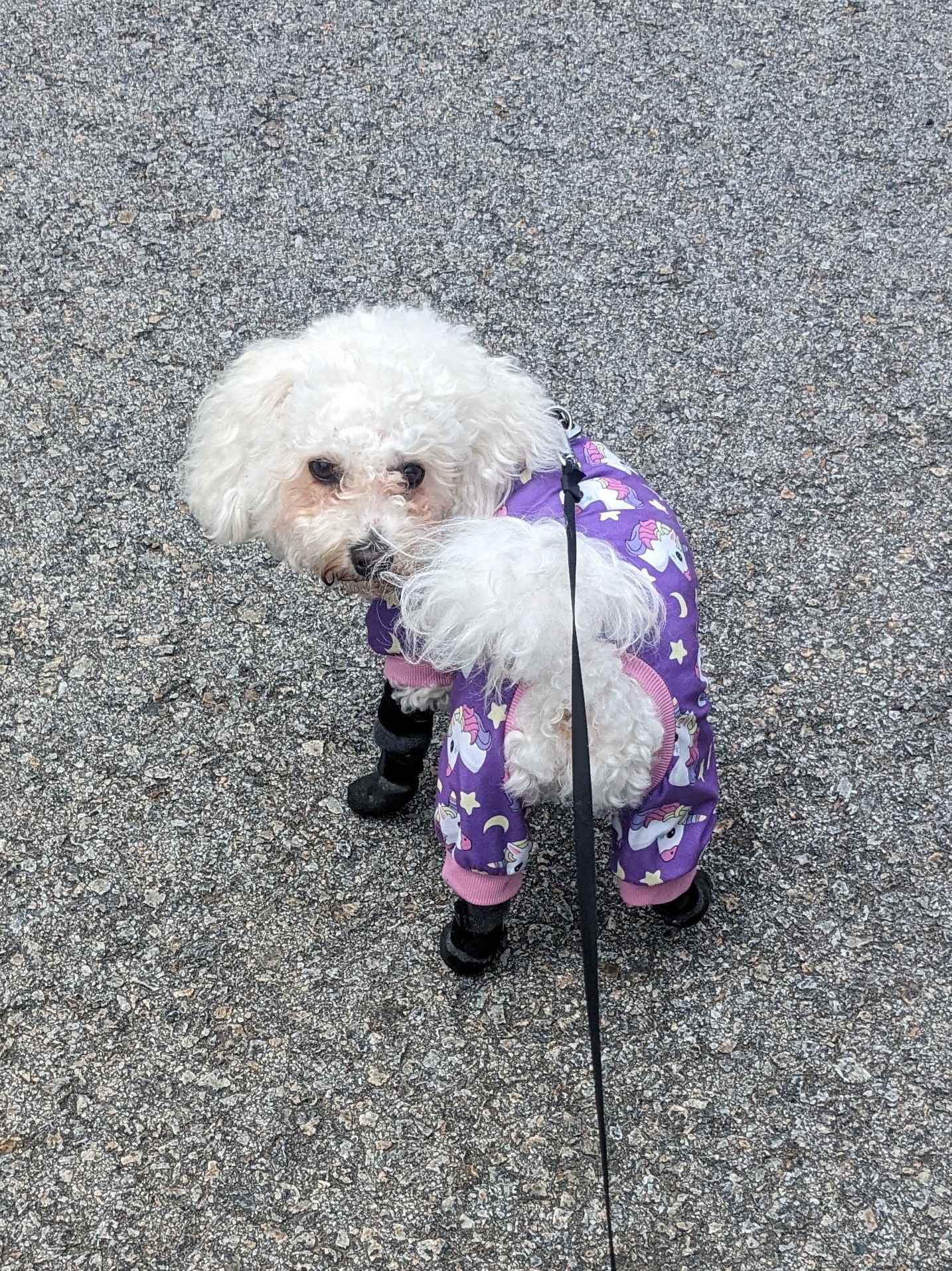 The Cuteness Is Strong with Mylo!