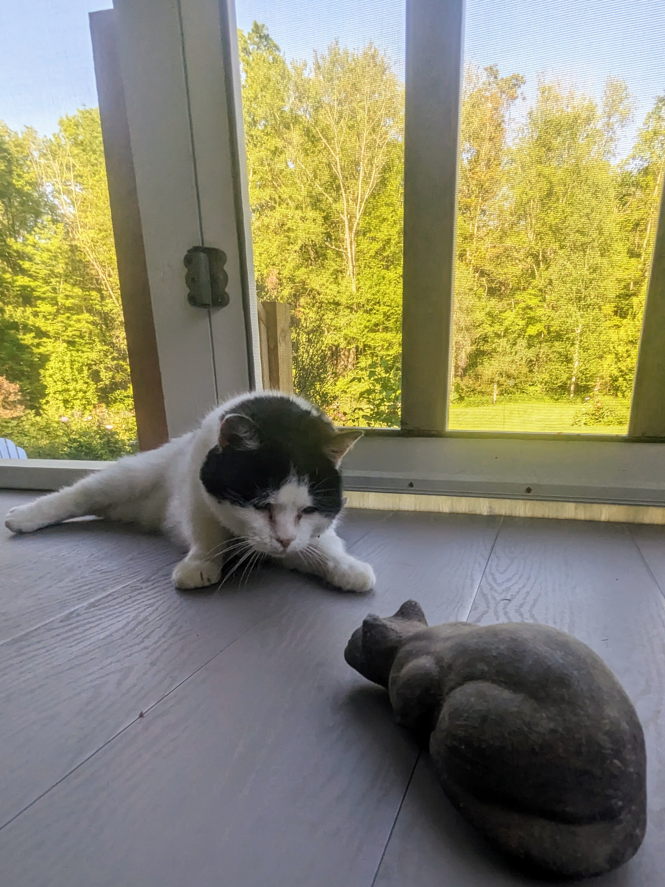 The Sillies!