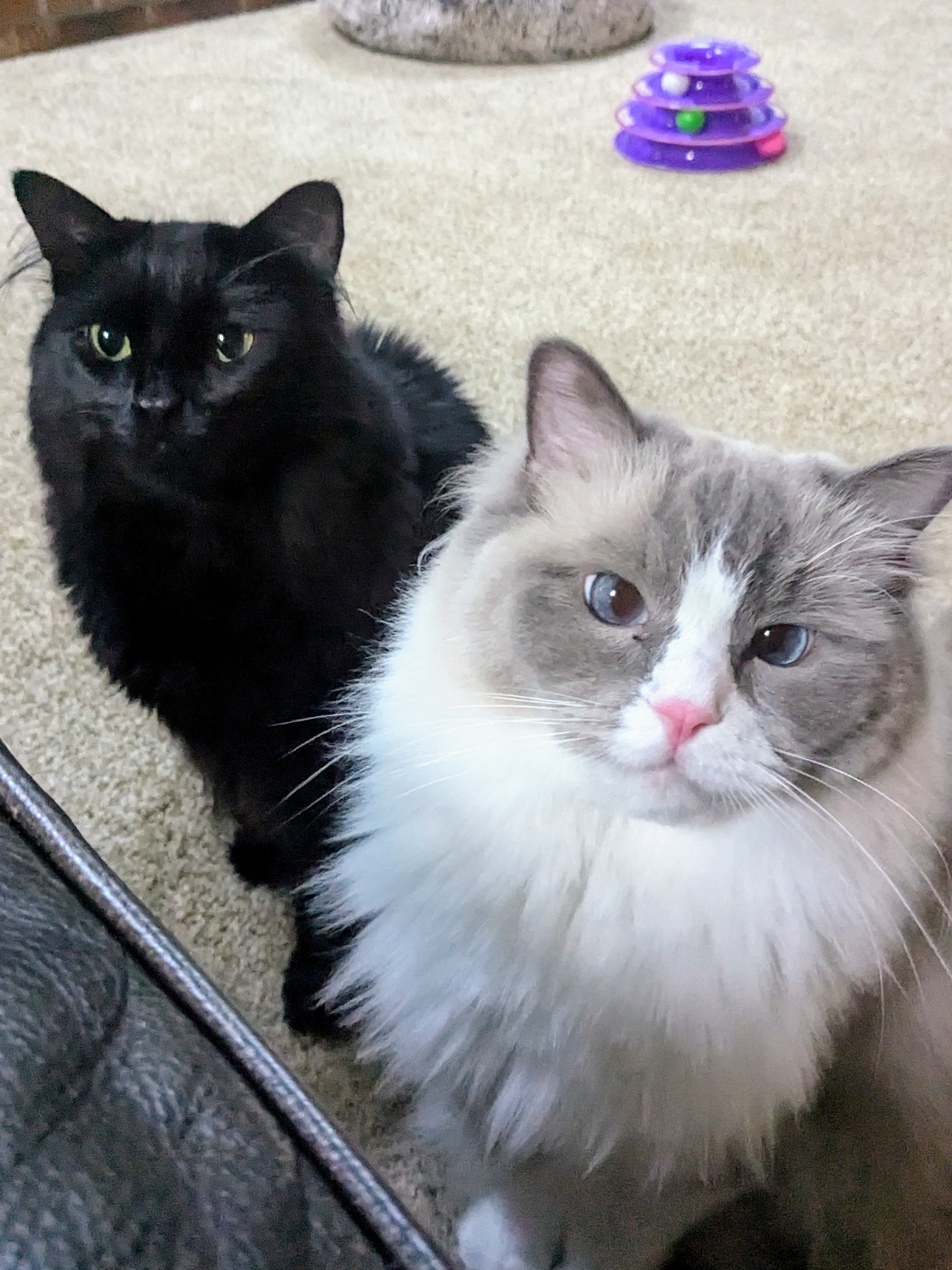Like Black And White