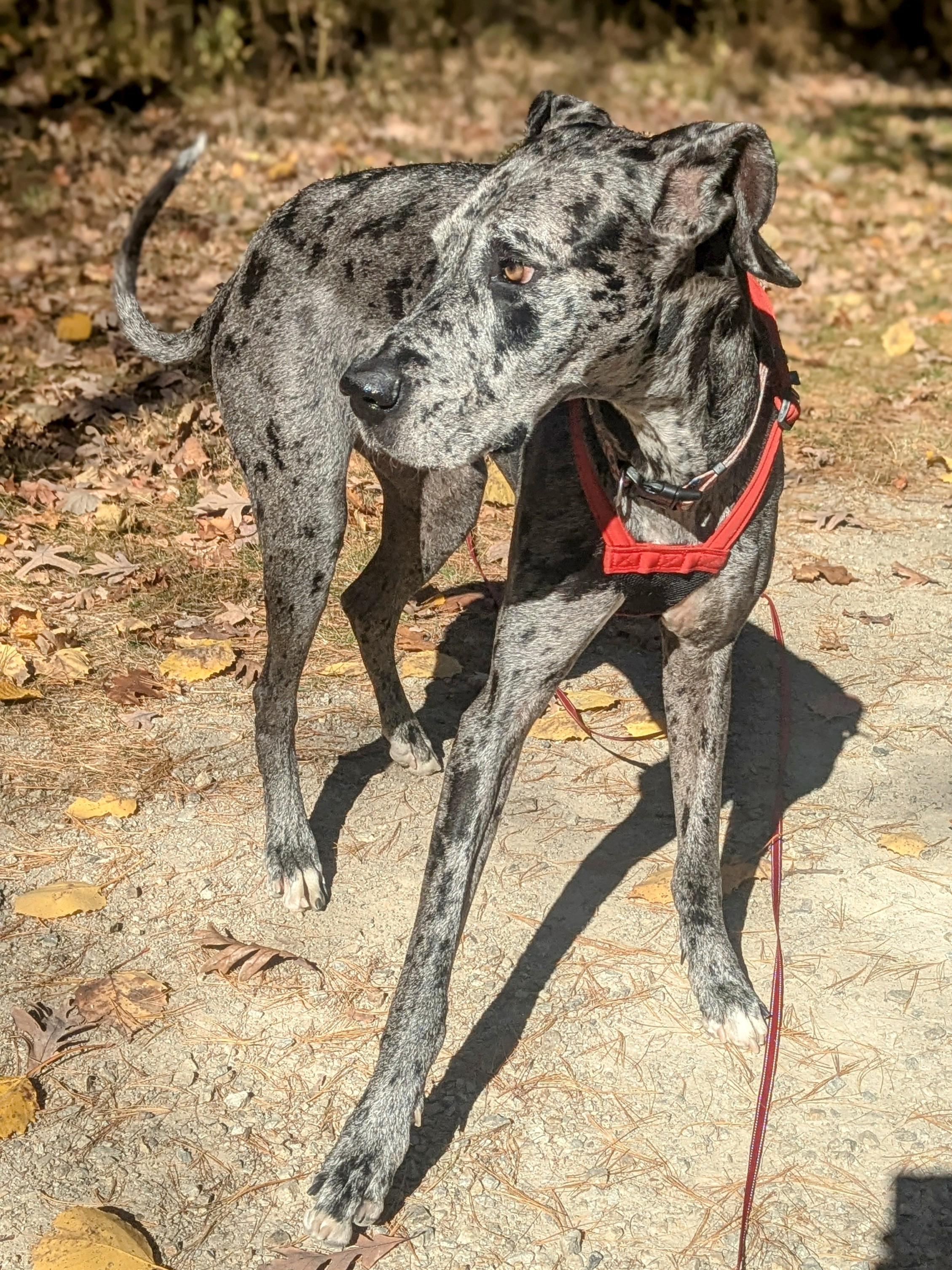 Dancin’ In The Park
