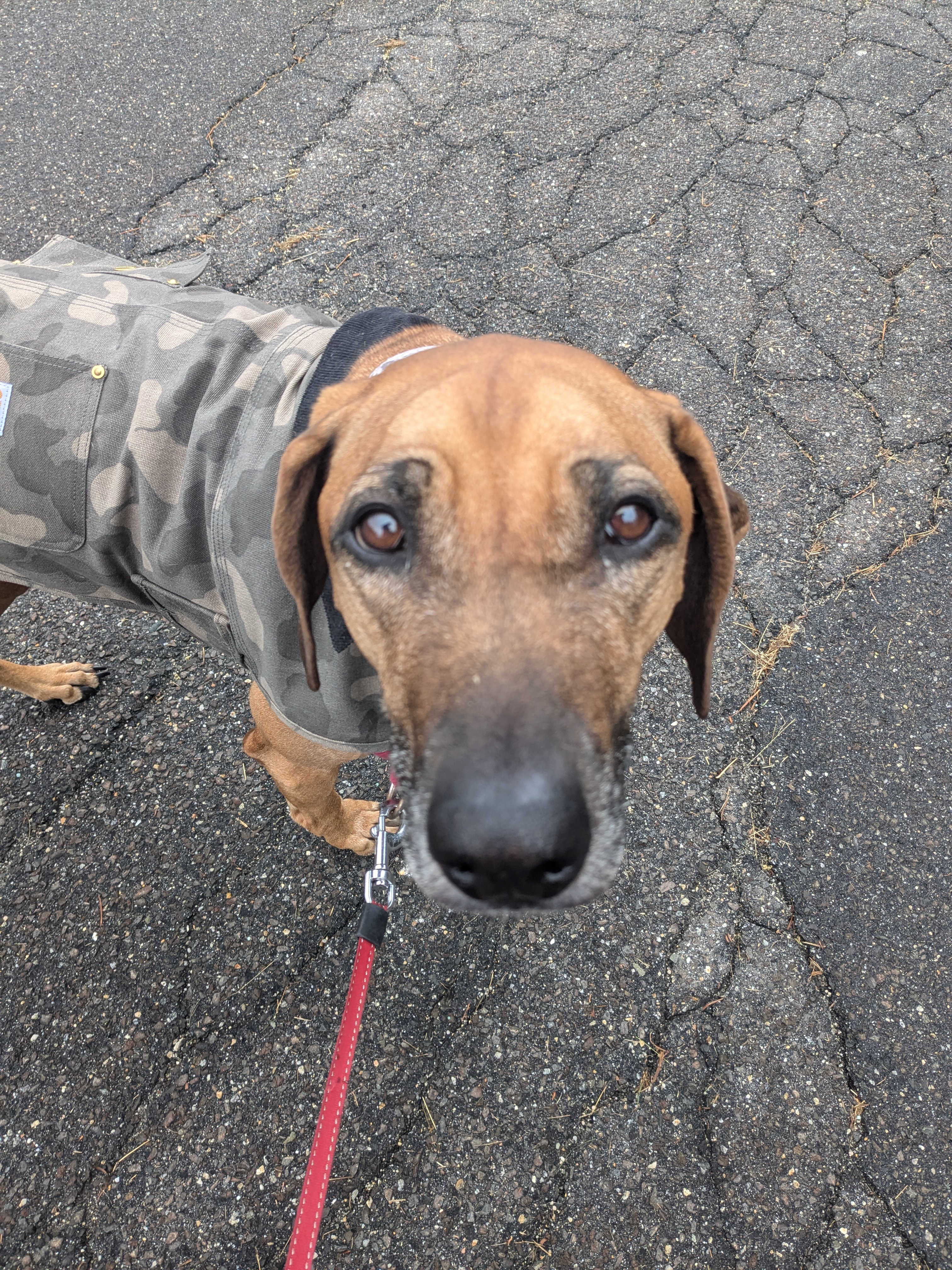 🥶Brrrrr-ienne Is Not A Fan of The Cold🥶