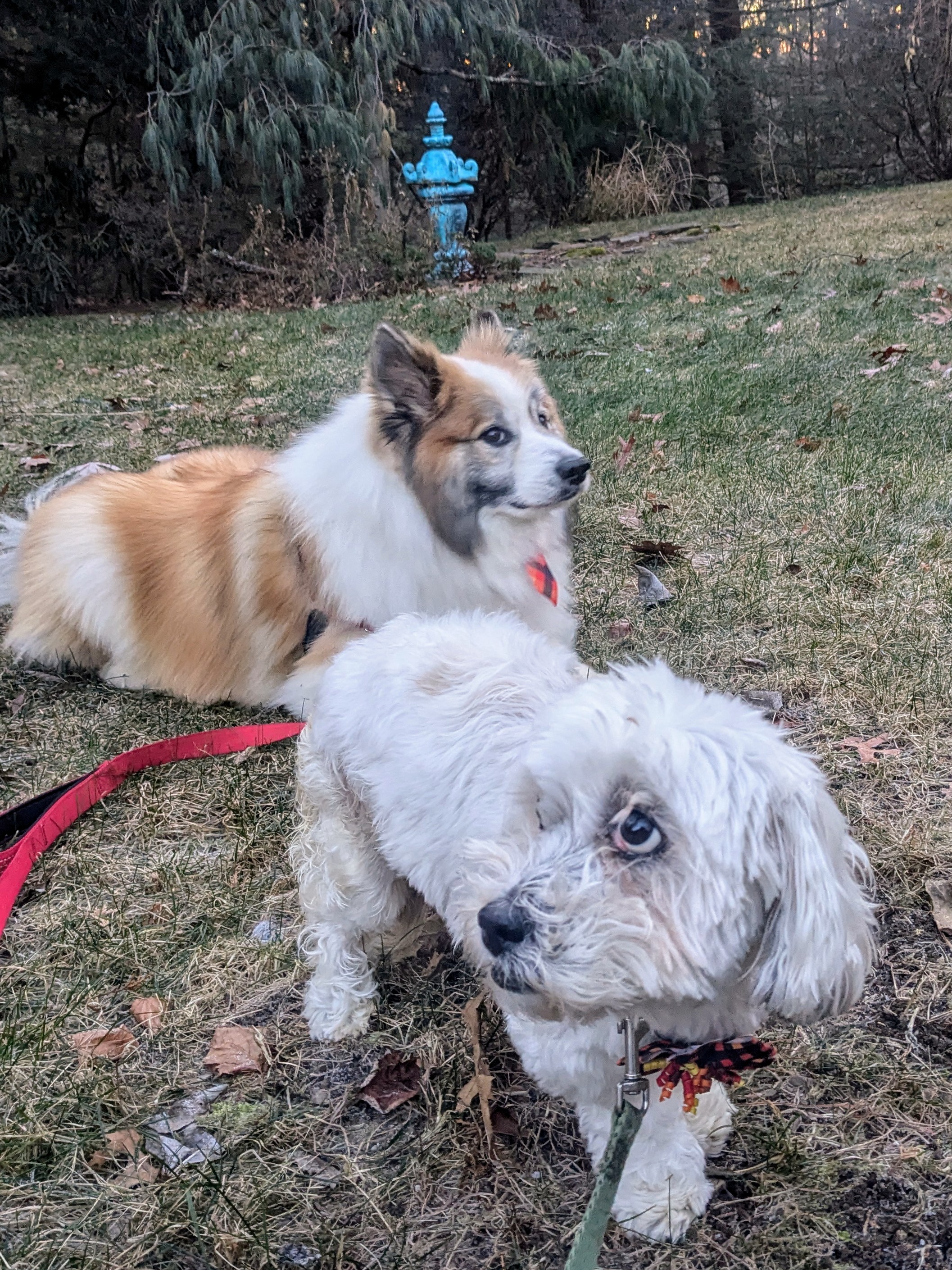 Escape Artists