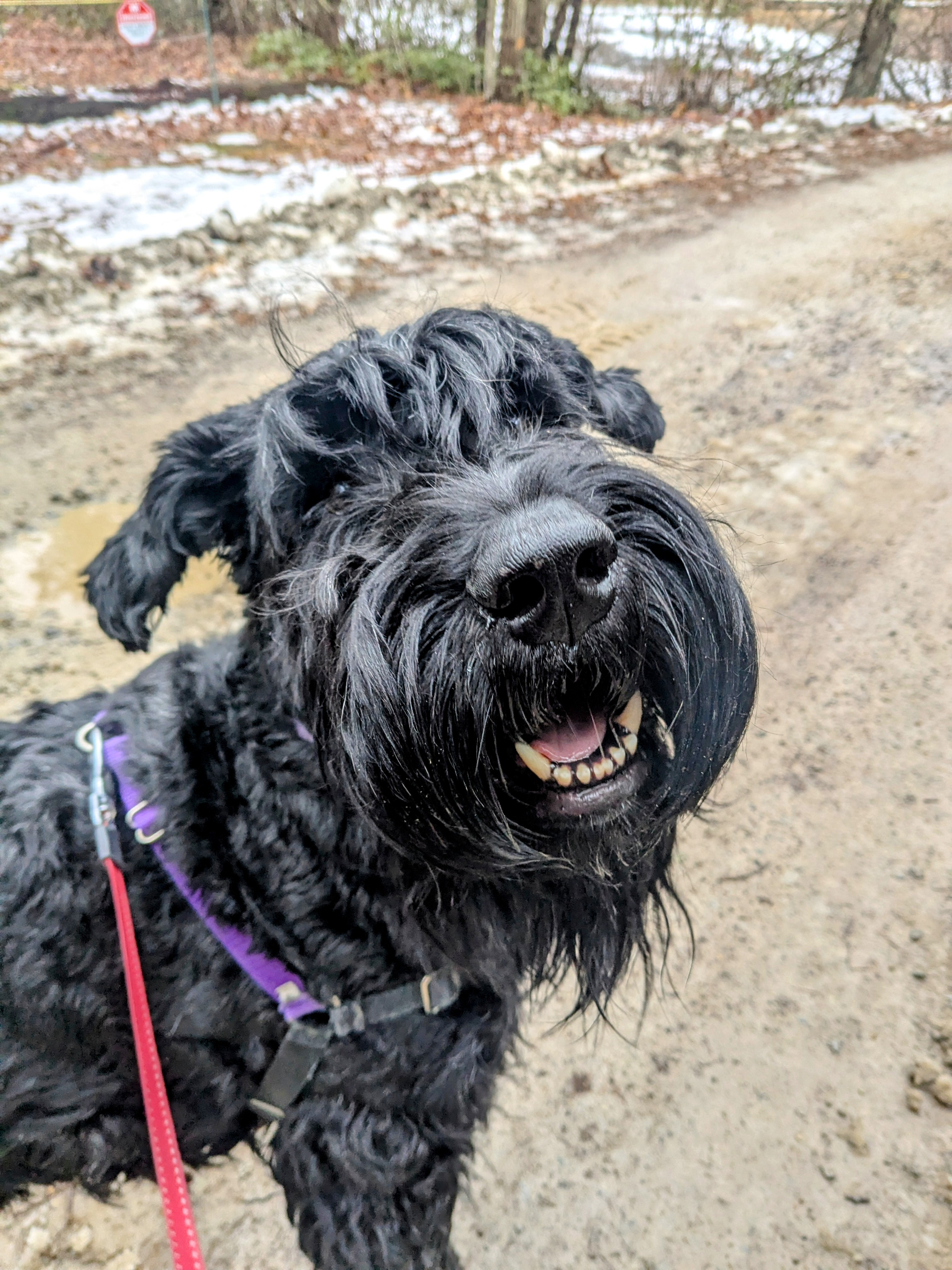 Oh That Smile!🥰