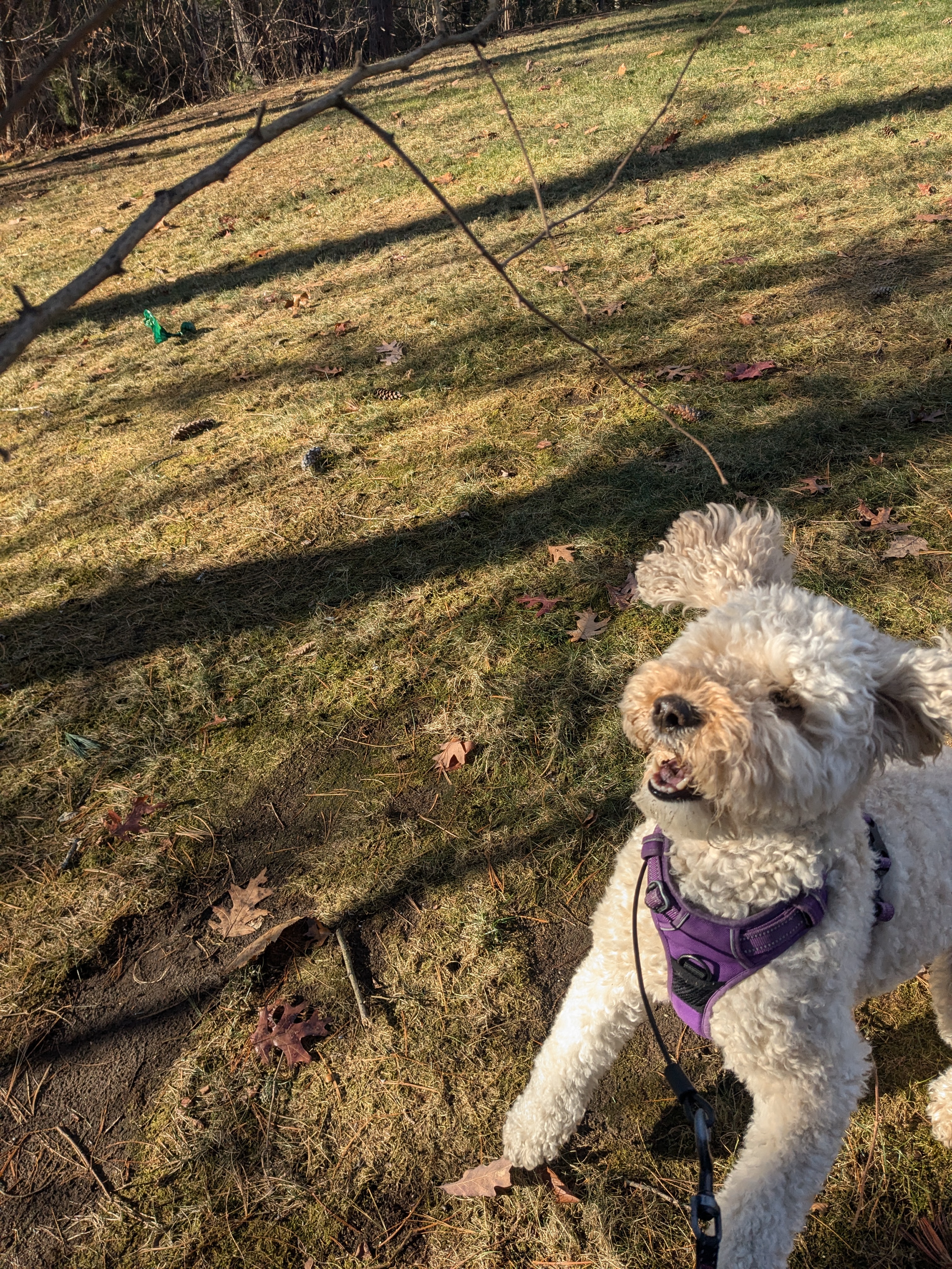 Windy Days, With Sticks We Play!