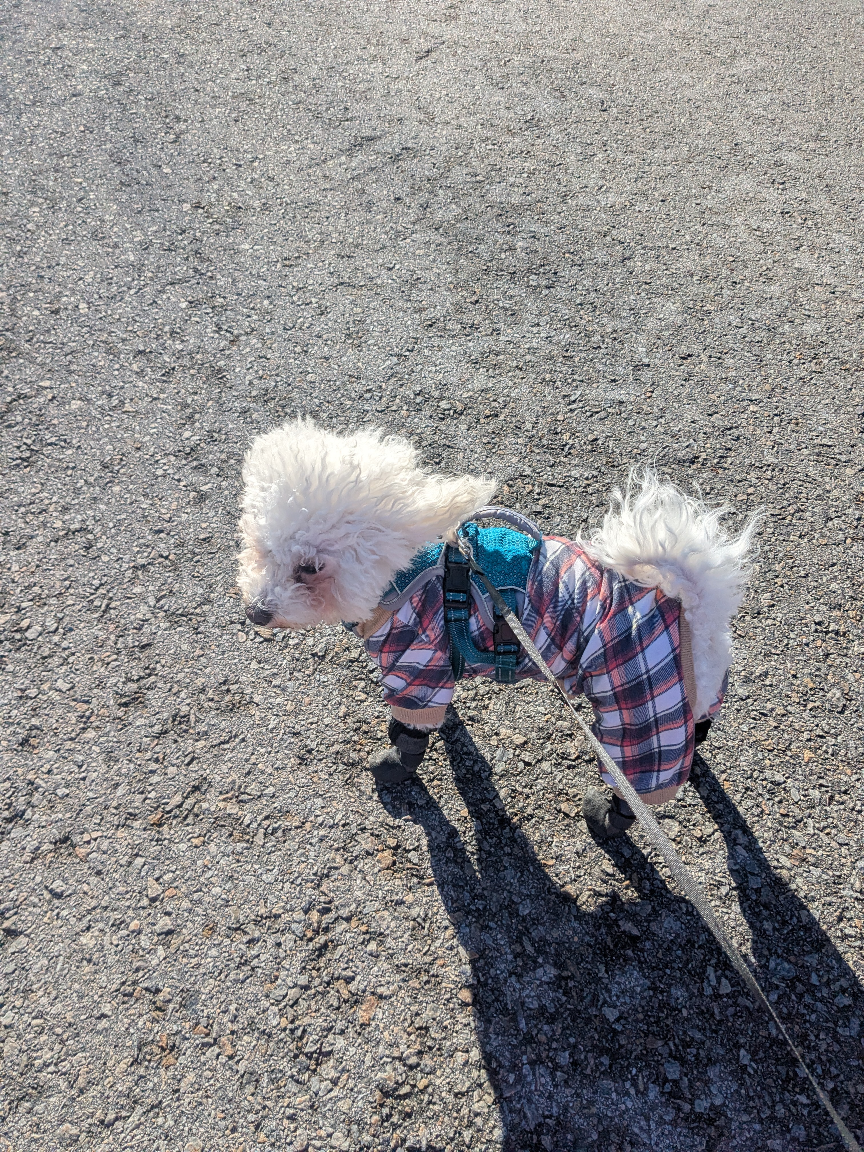 Long & Windy Road🤣❤️🐾