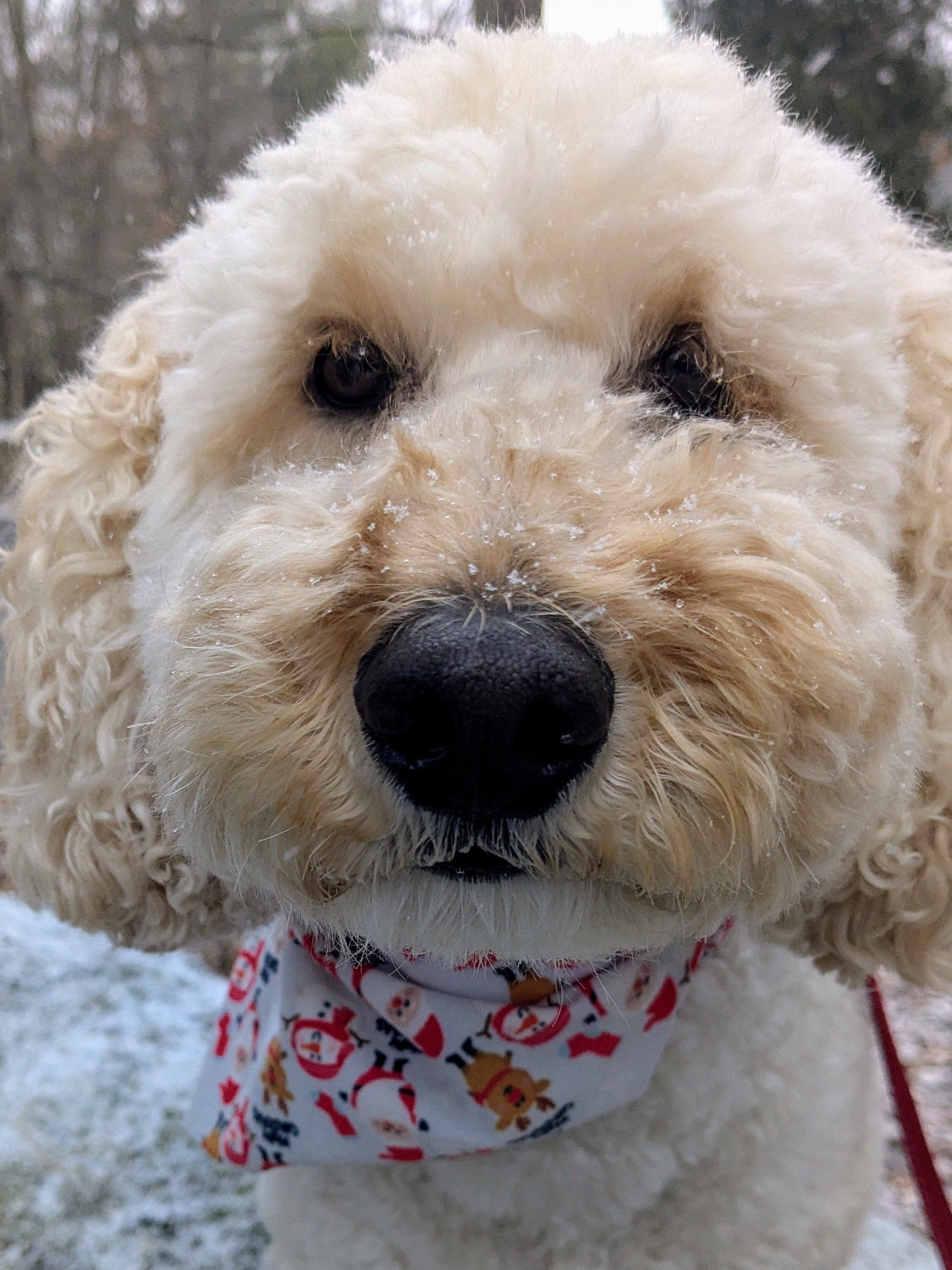Rockin The Snow Look 😎