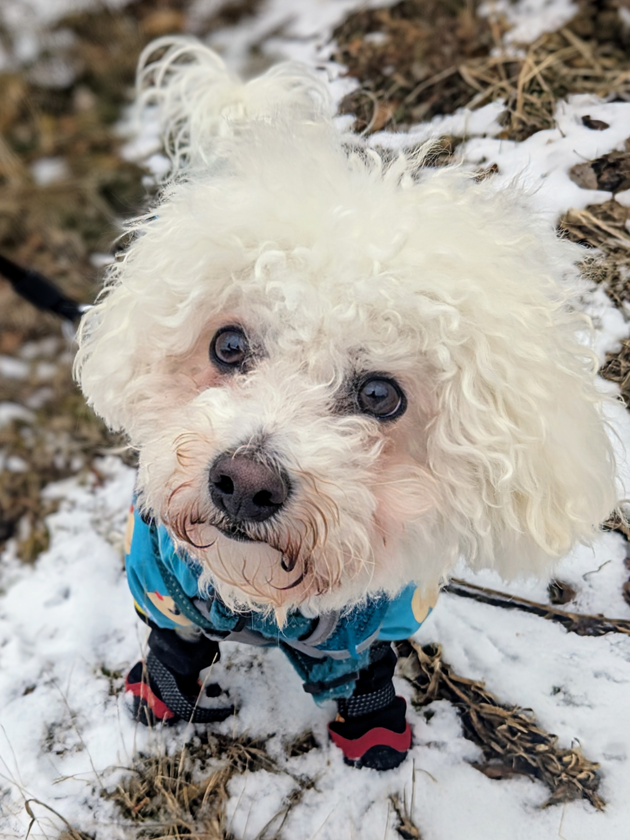 Mylo Is Always The Cure For The Monday Blues.❤️