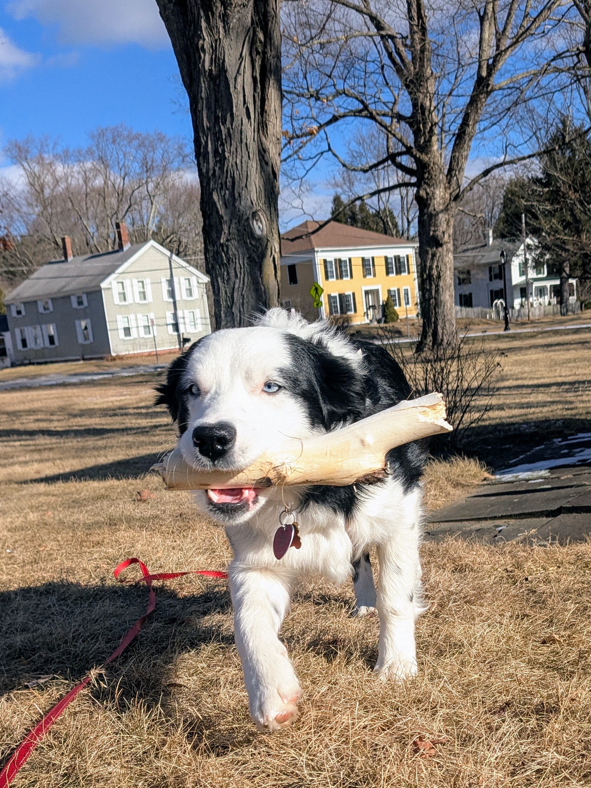 Super Sophie-sticated 🥰
