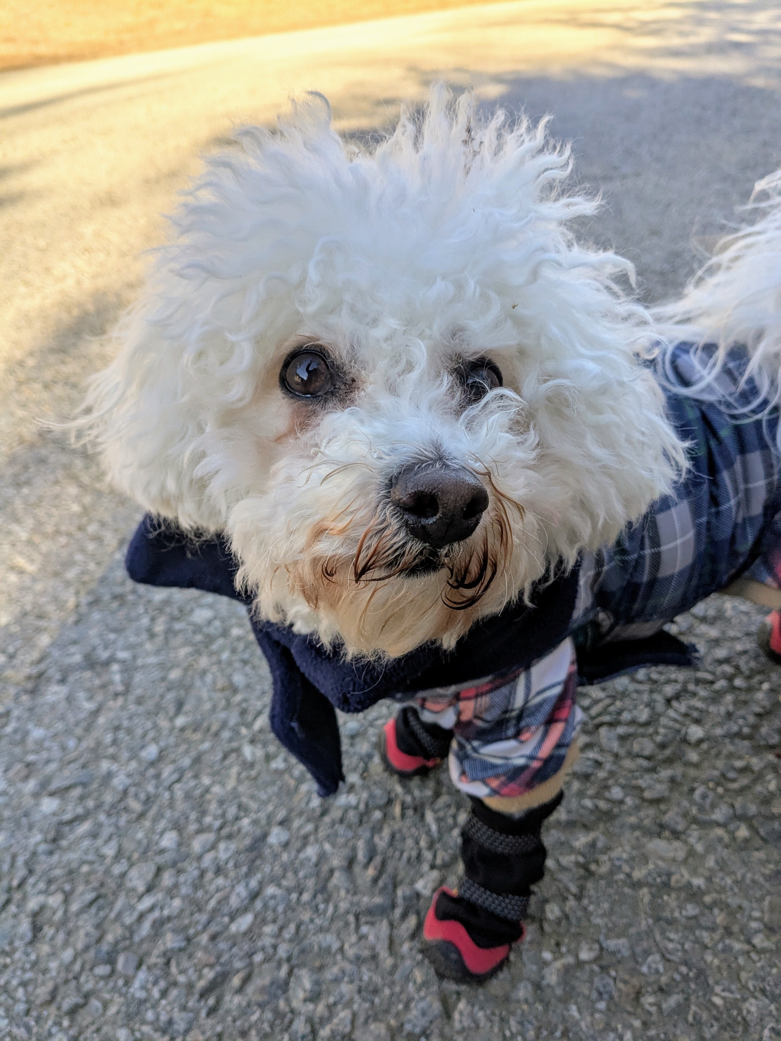 Running Against The Wind! 🌬️🥶