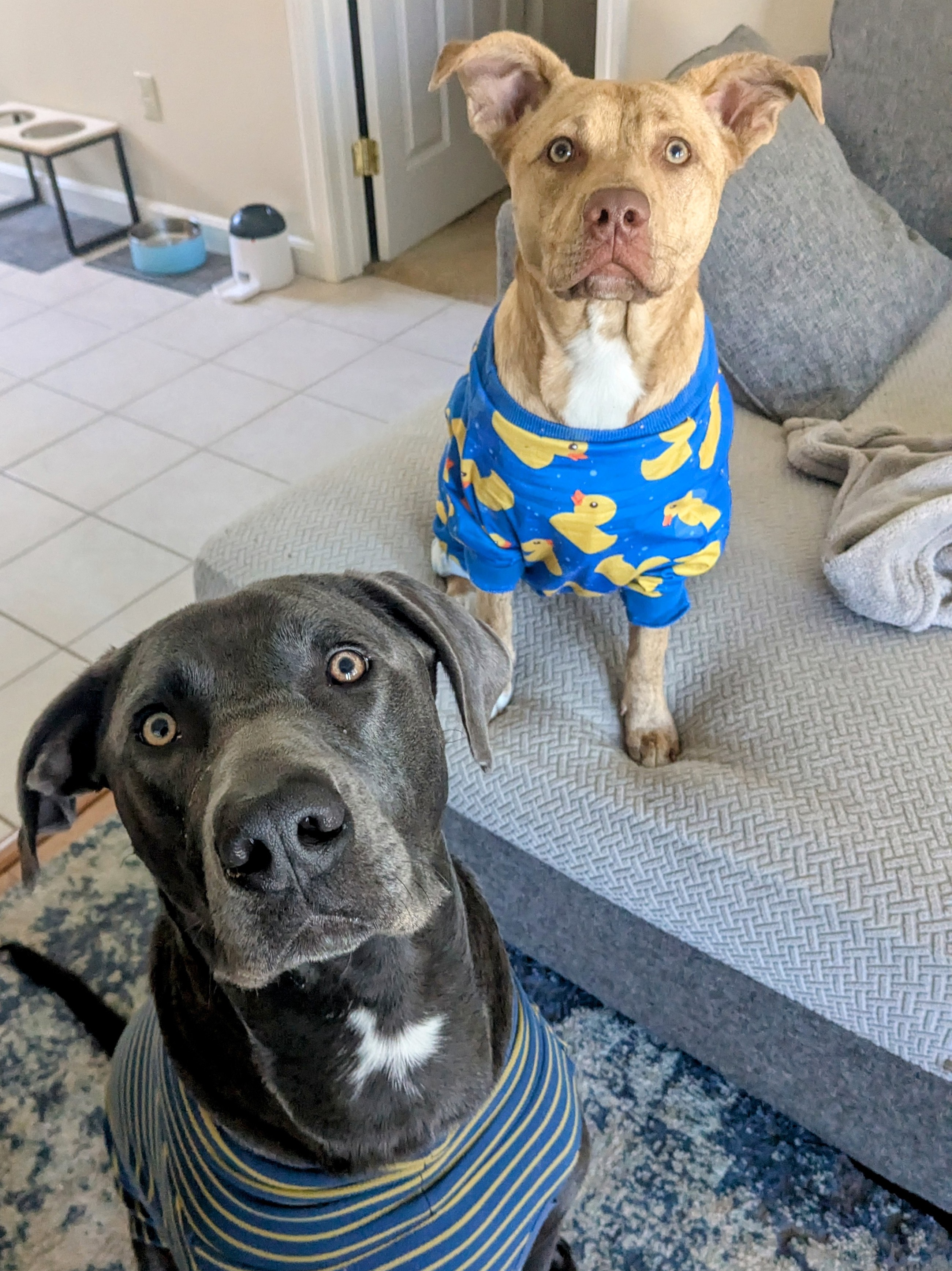 The Adventures Of Lucy & Oliver!