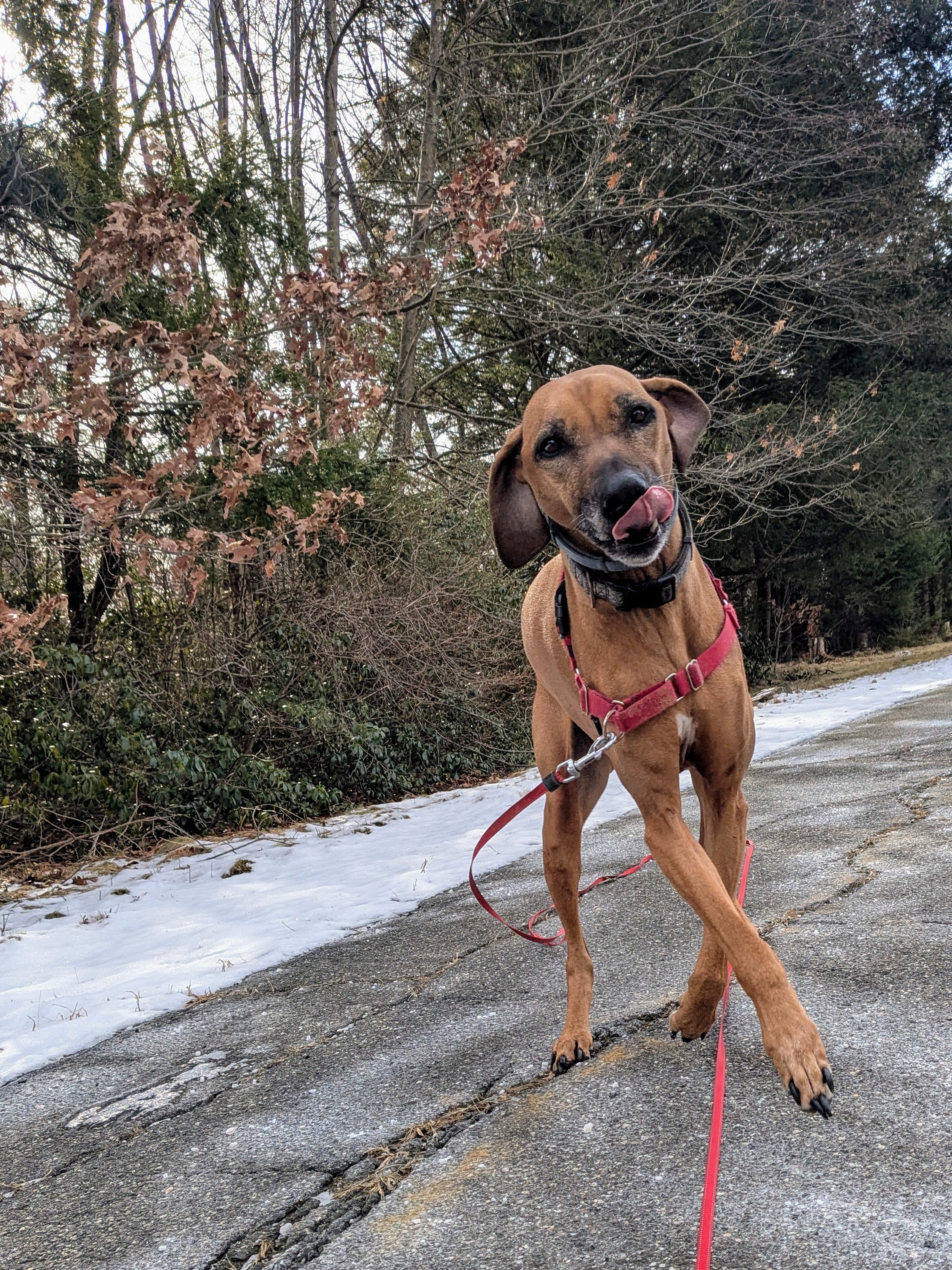Just Dancing Along