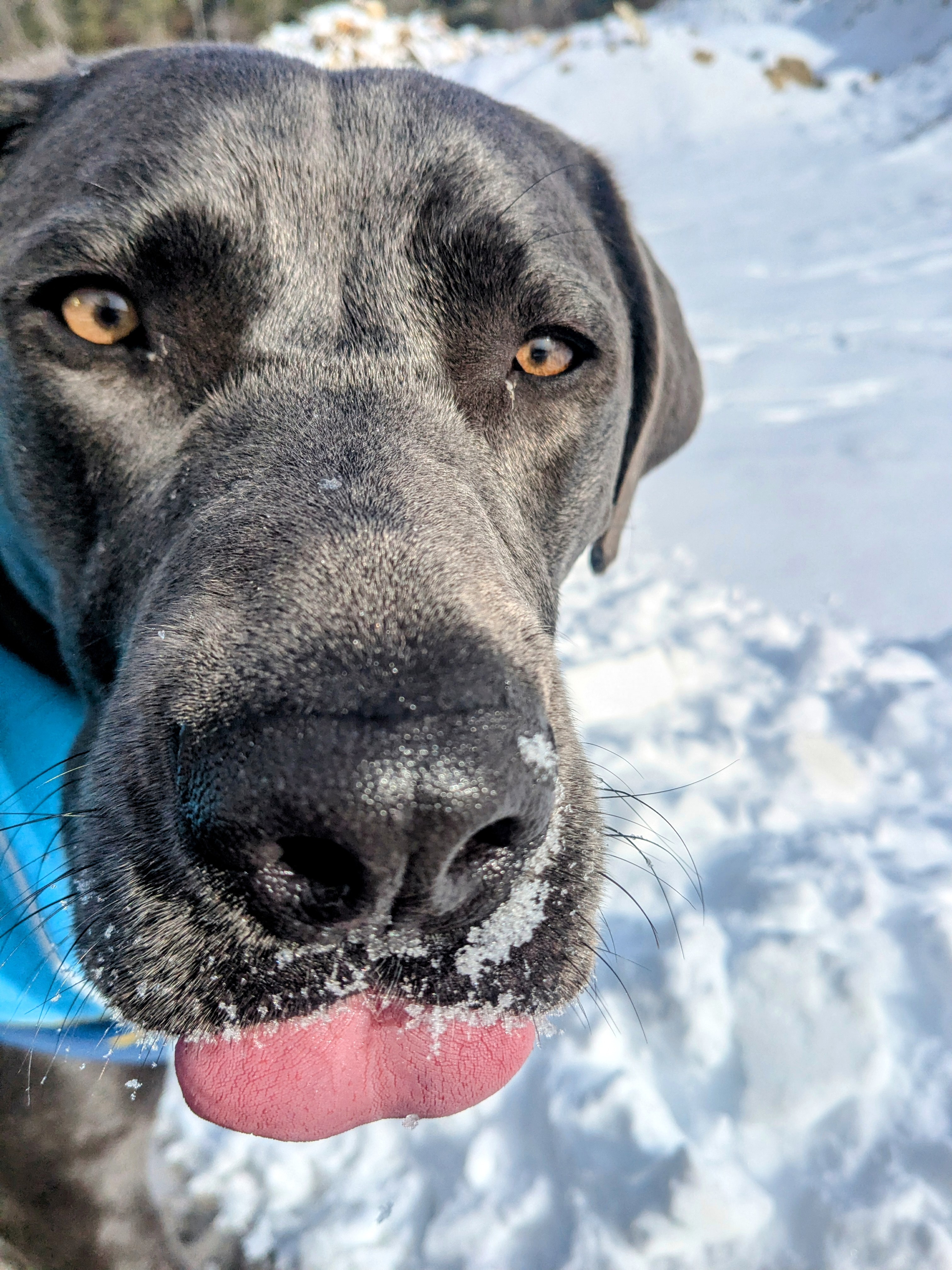 So Fresh! ❄️🐾❤️
