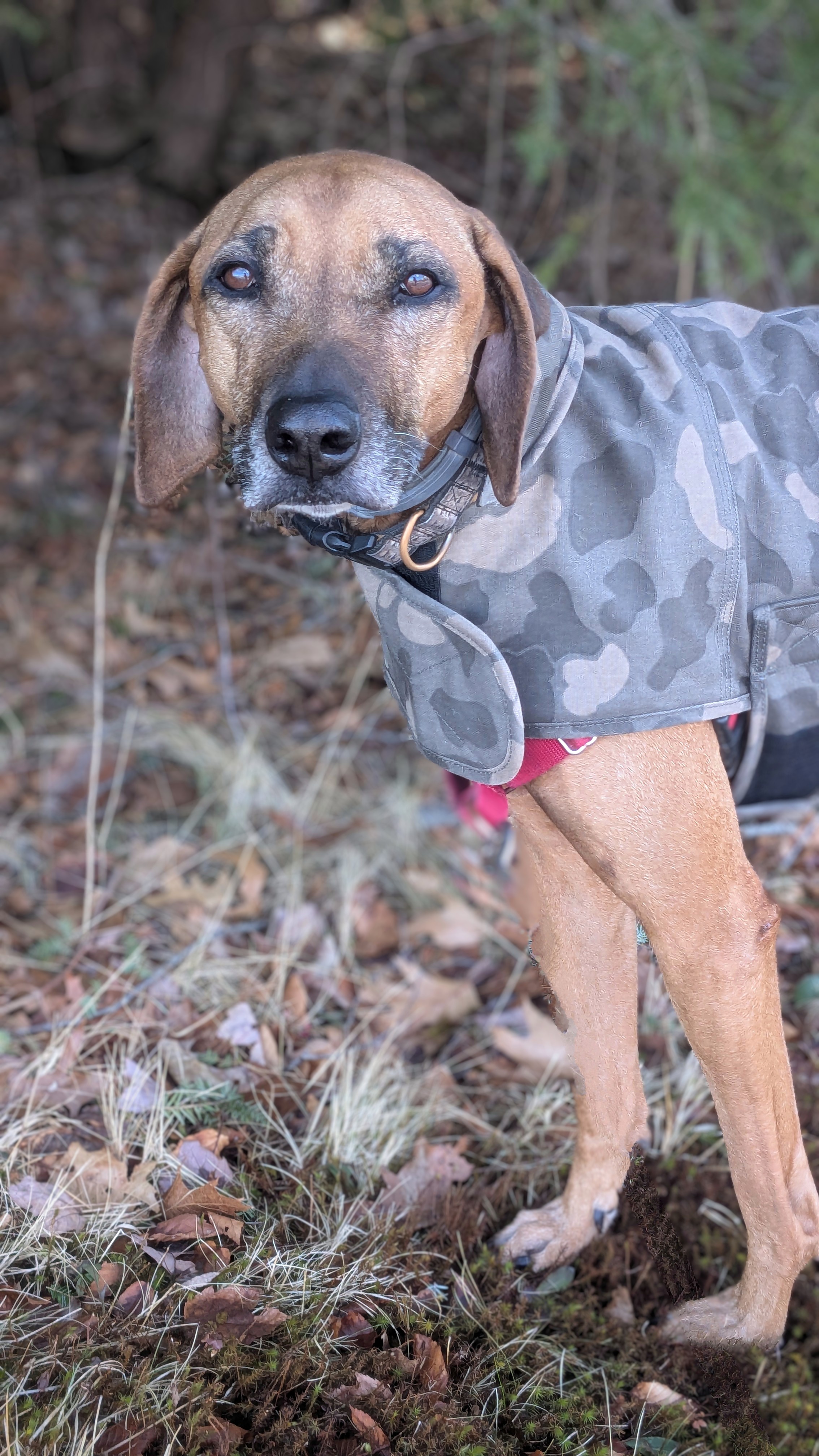She Really Really Hates The Cold! 🥶
