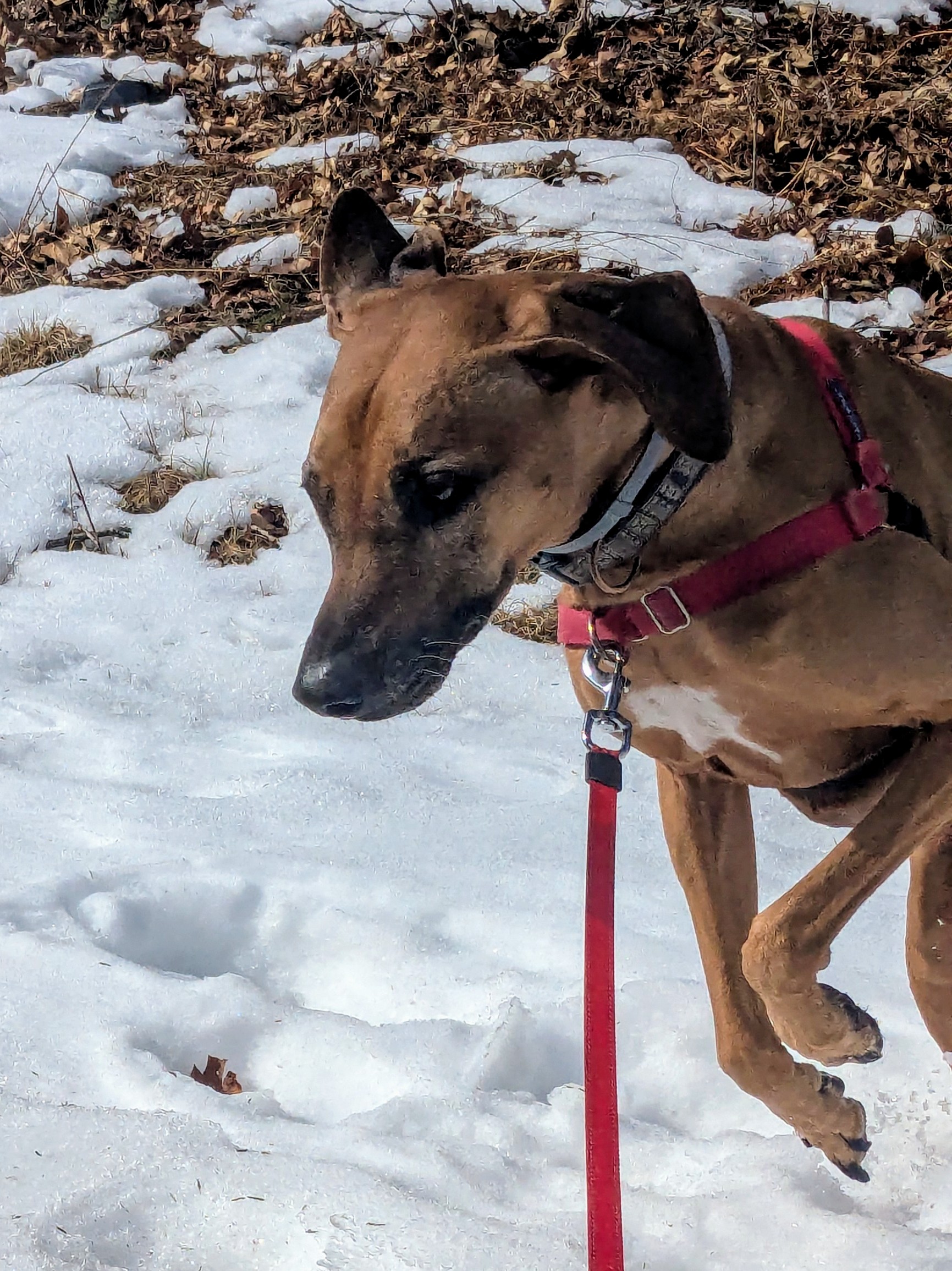 Such A Happy Girl!