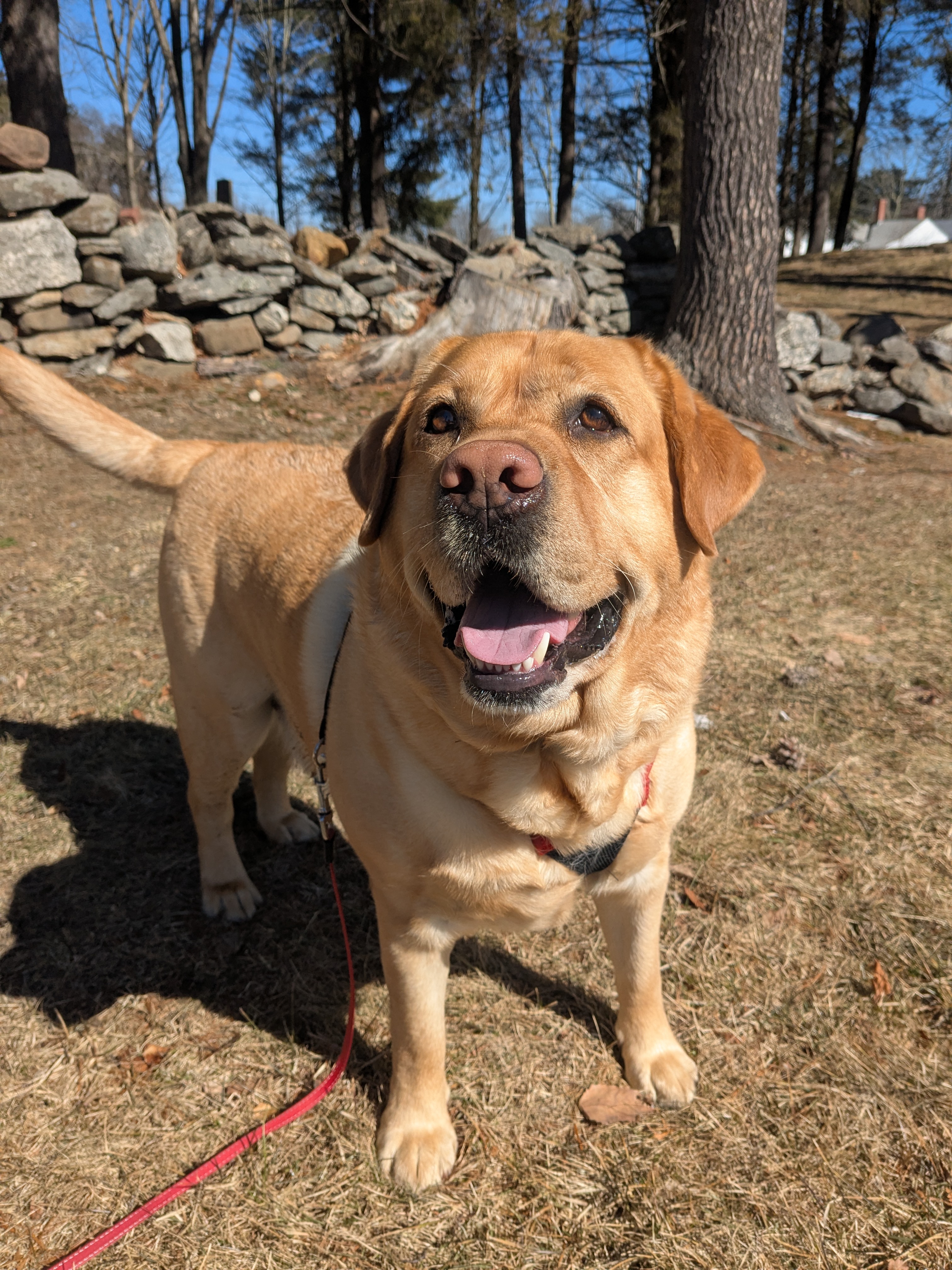 Historic Charlie