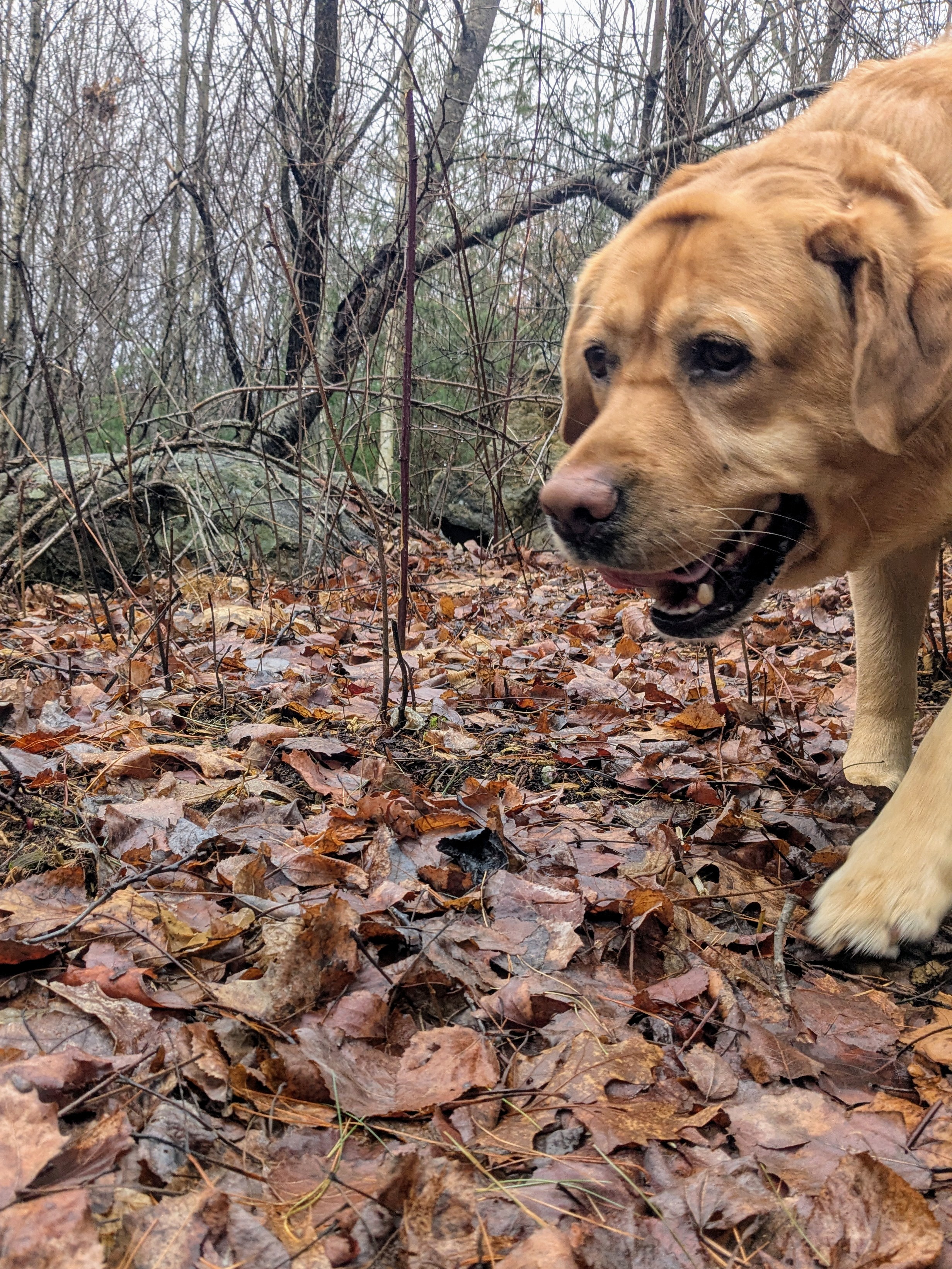 Intense Focus