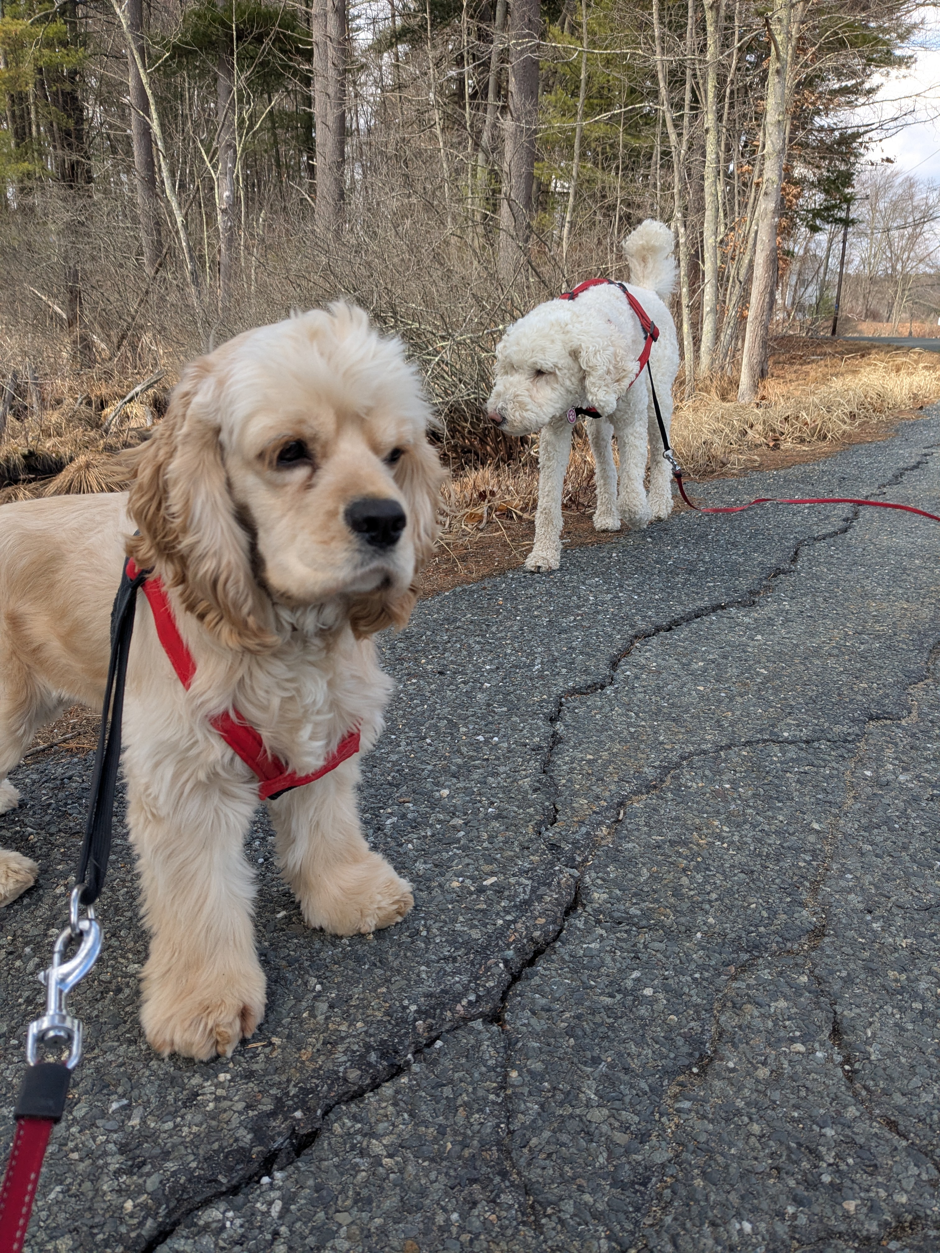 Some Photos From Today’s Walk