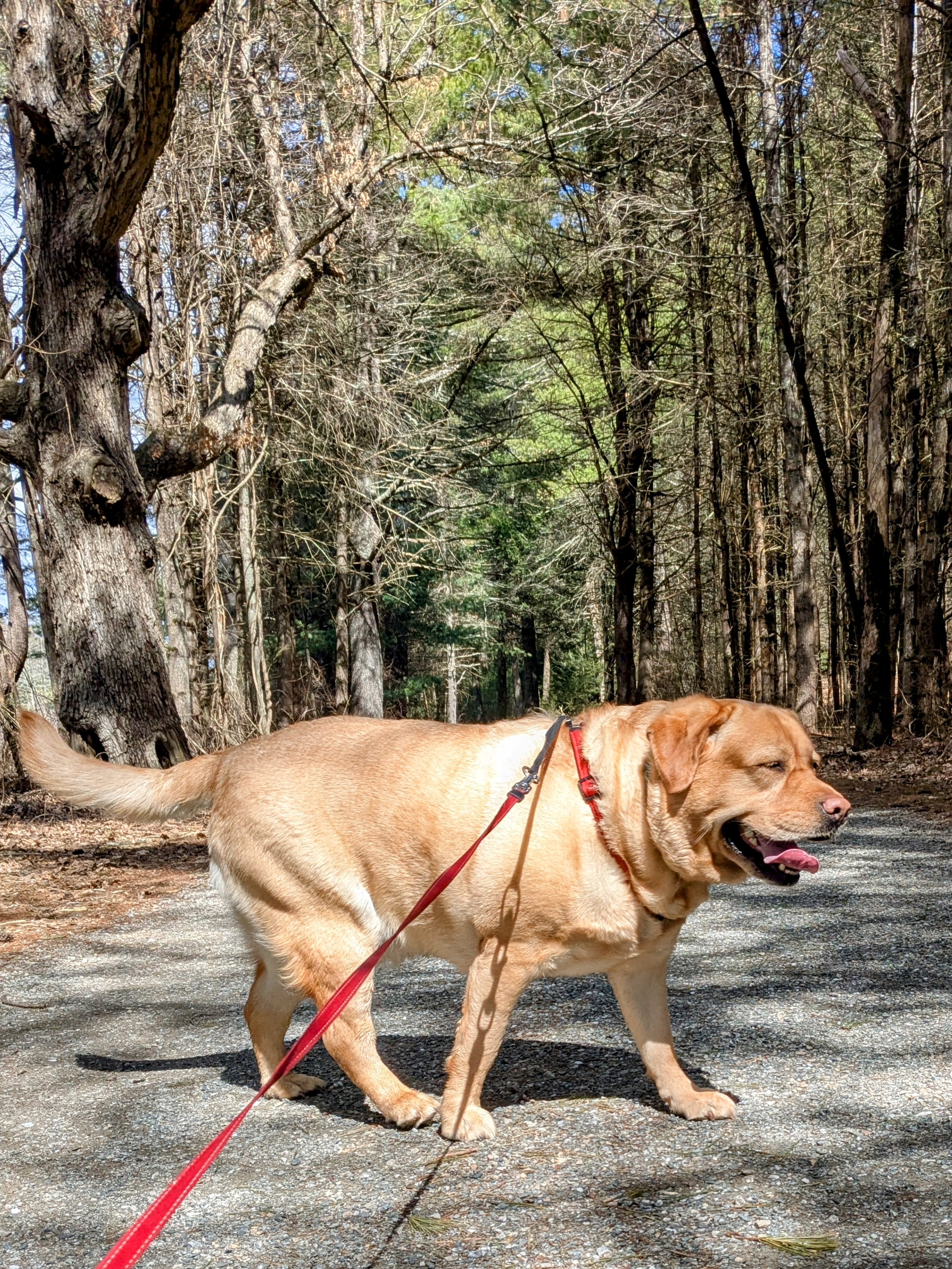 Getting The Lead Out