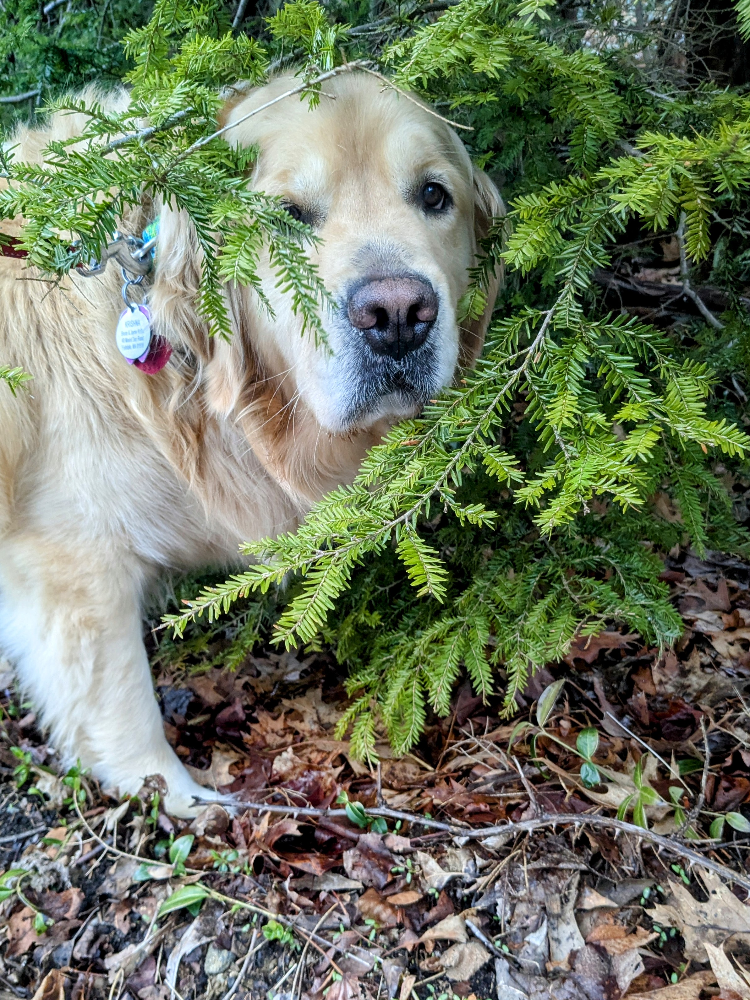 Hide N Seek With A Side Of Silly Jokes!