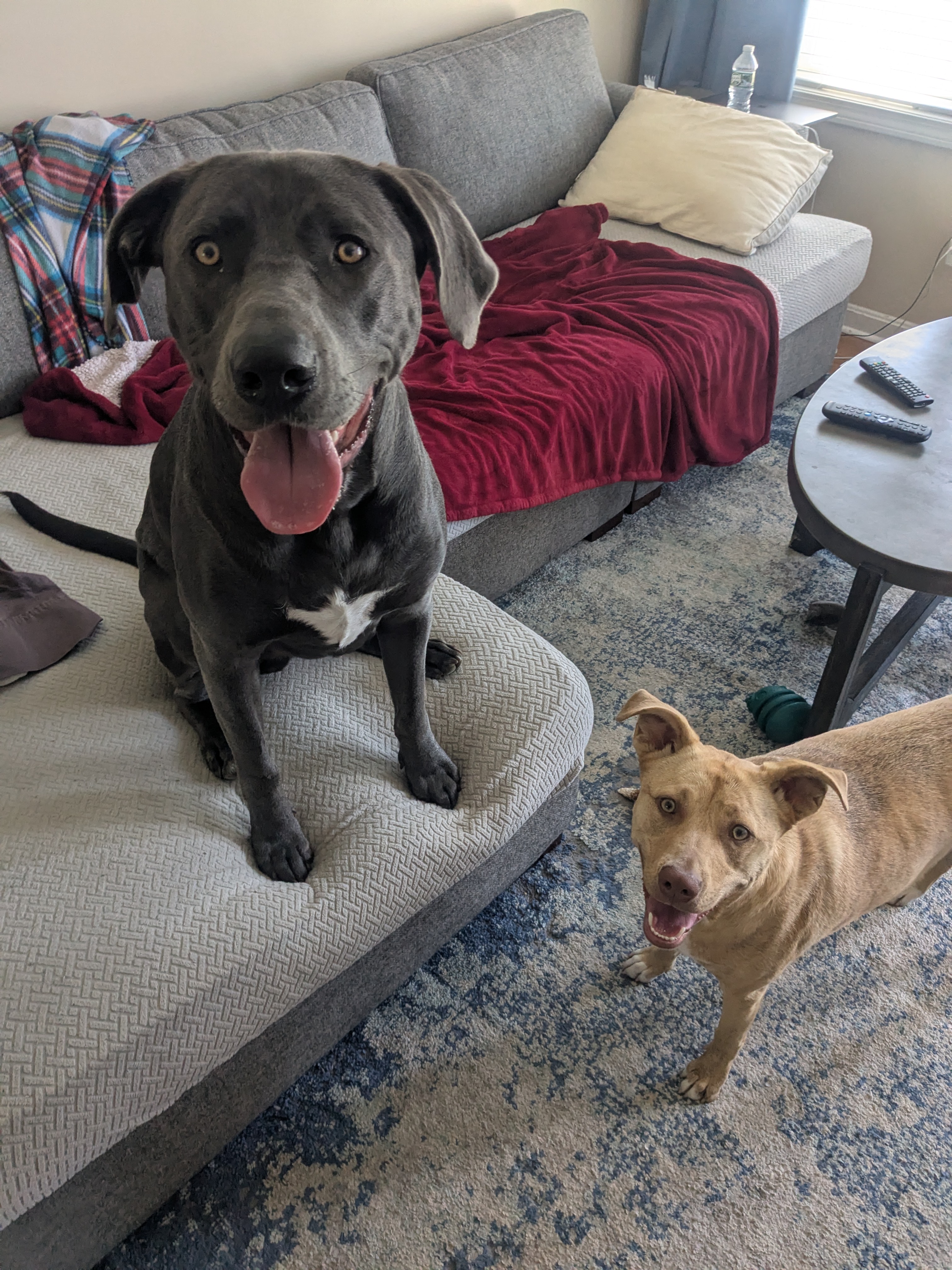 So Happy To See My Furiends!